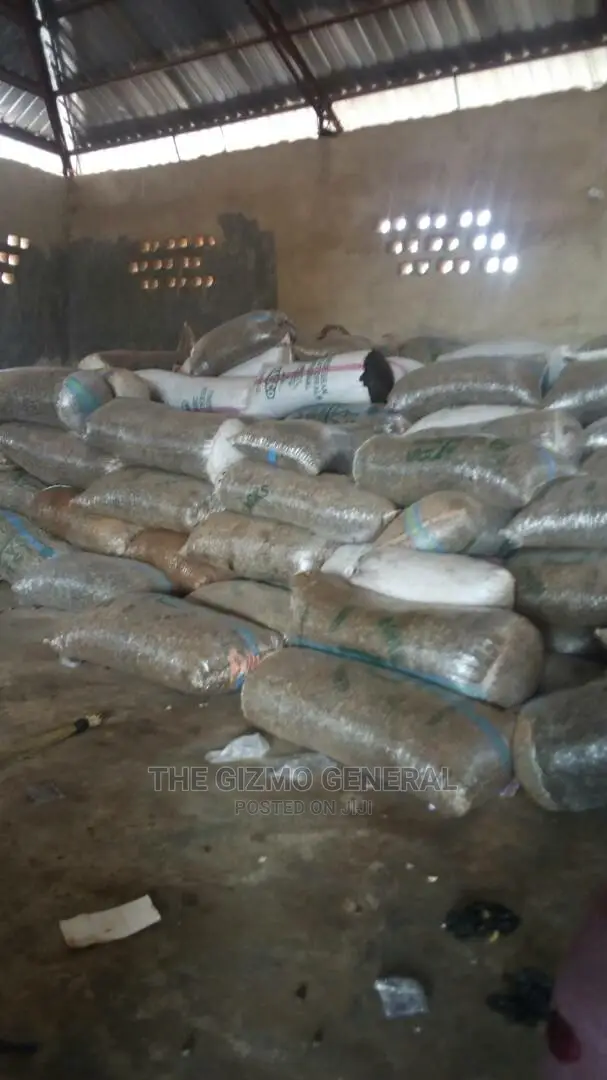 Raw Cashew Nuts in Tonnes (1,000kg) for Sale in Offa