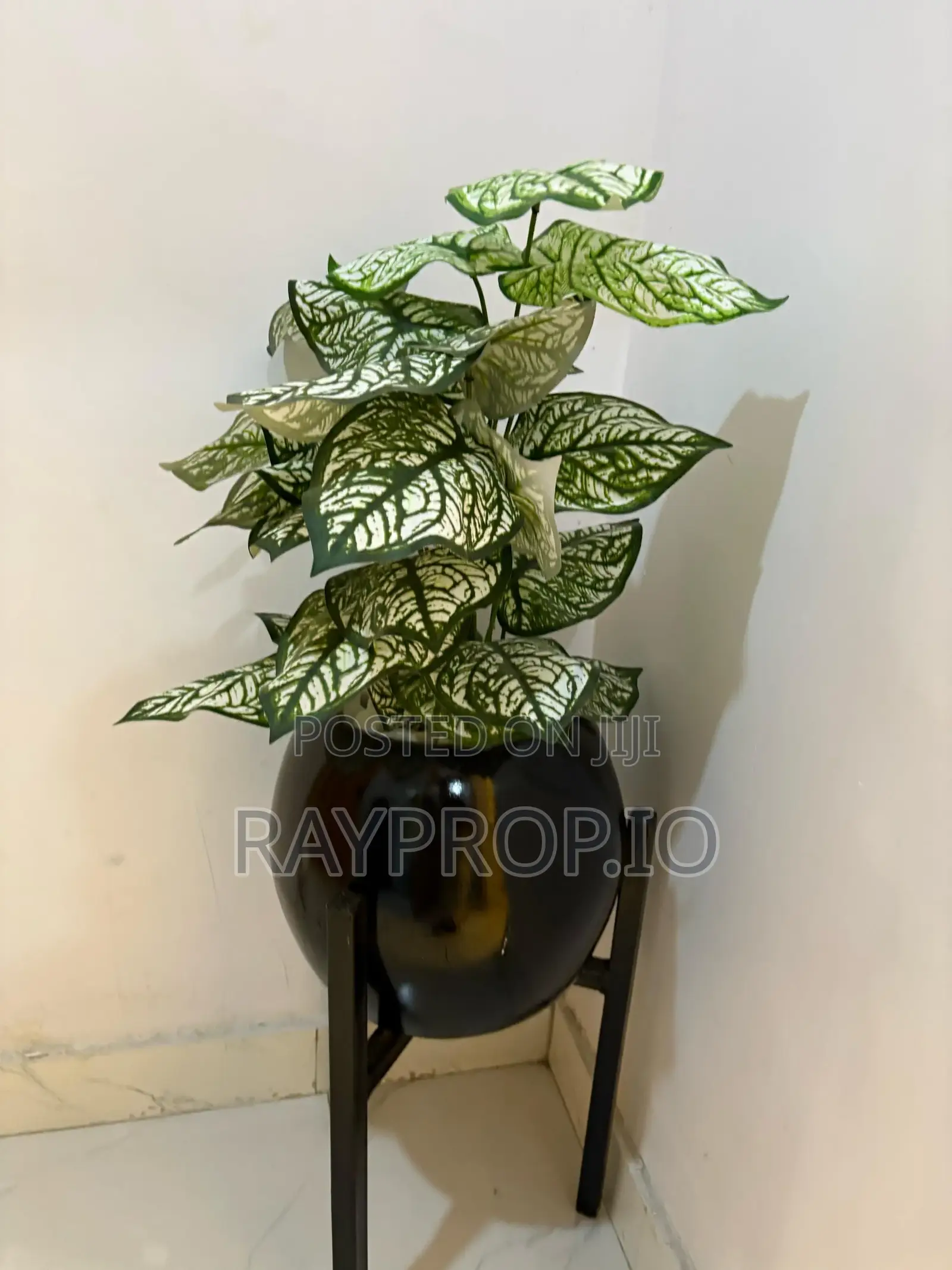 123774ho - Studio Shortlet in Yaba