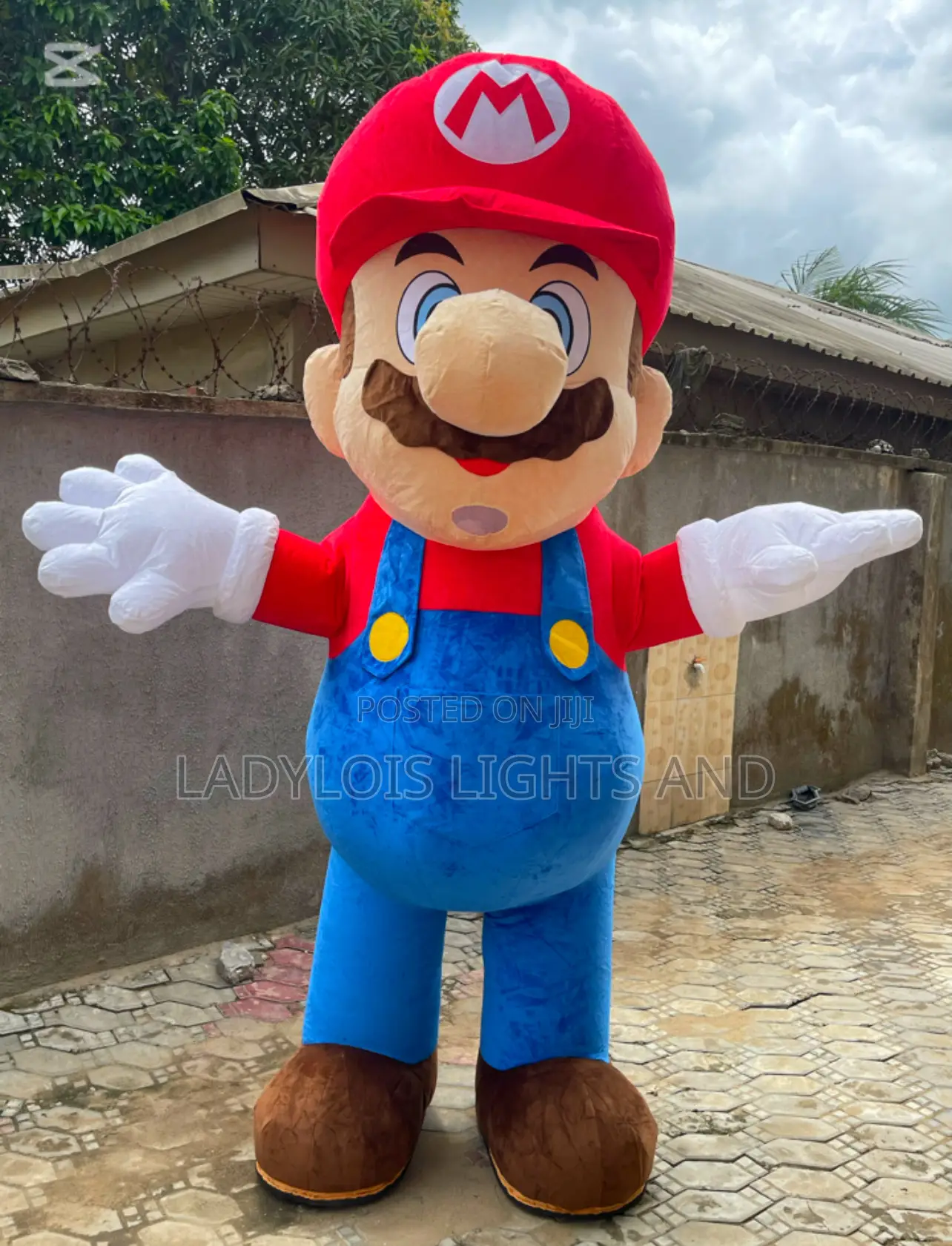 Big Size Inflatable Mario Mascot Costume