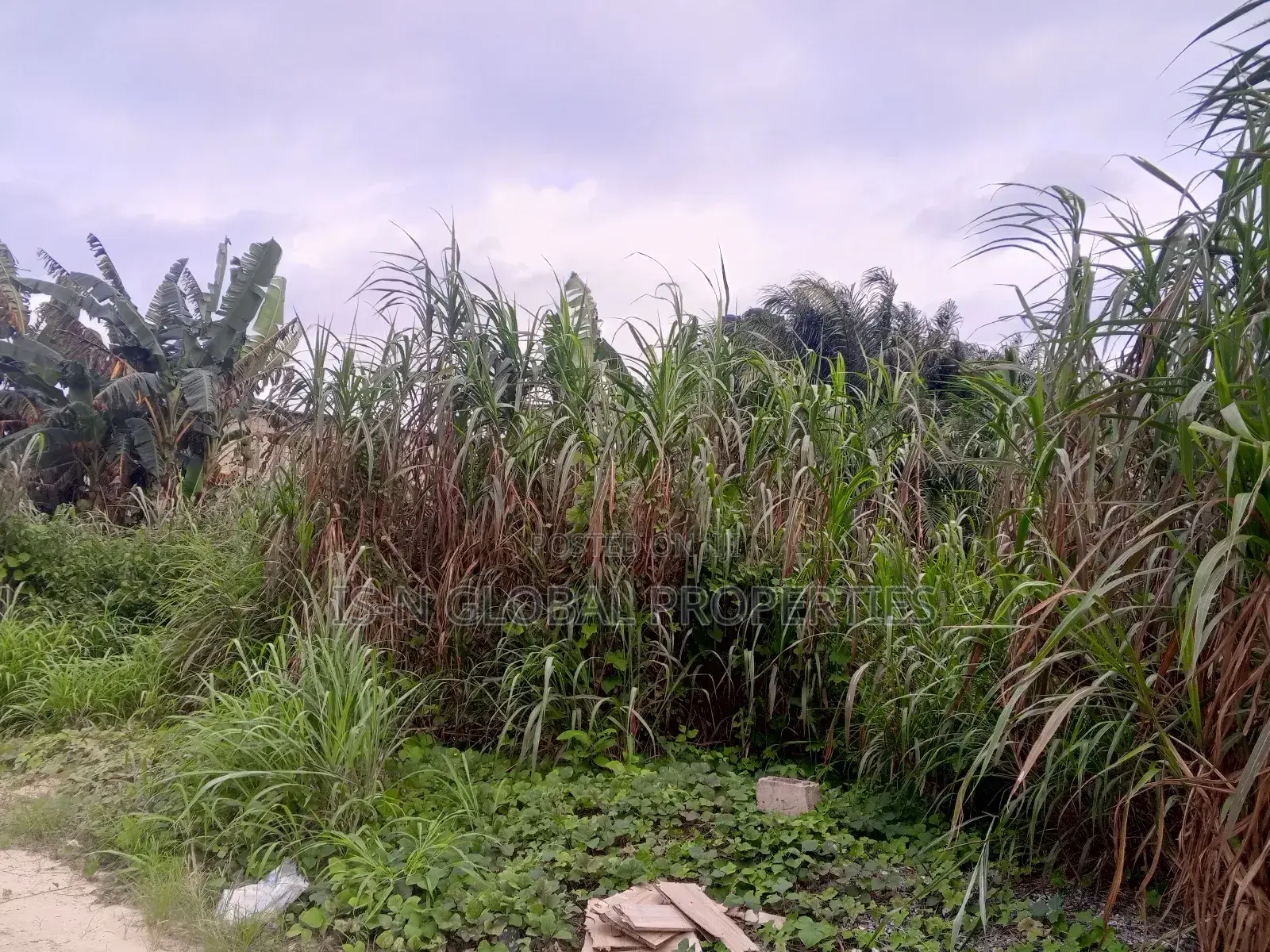 Land for Sale