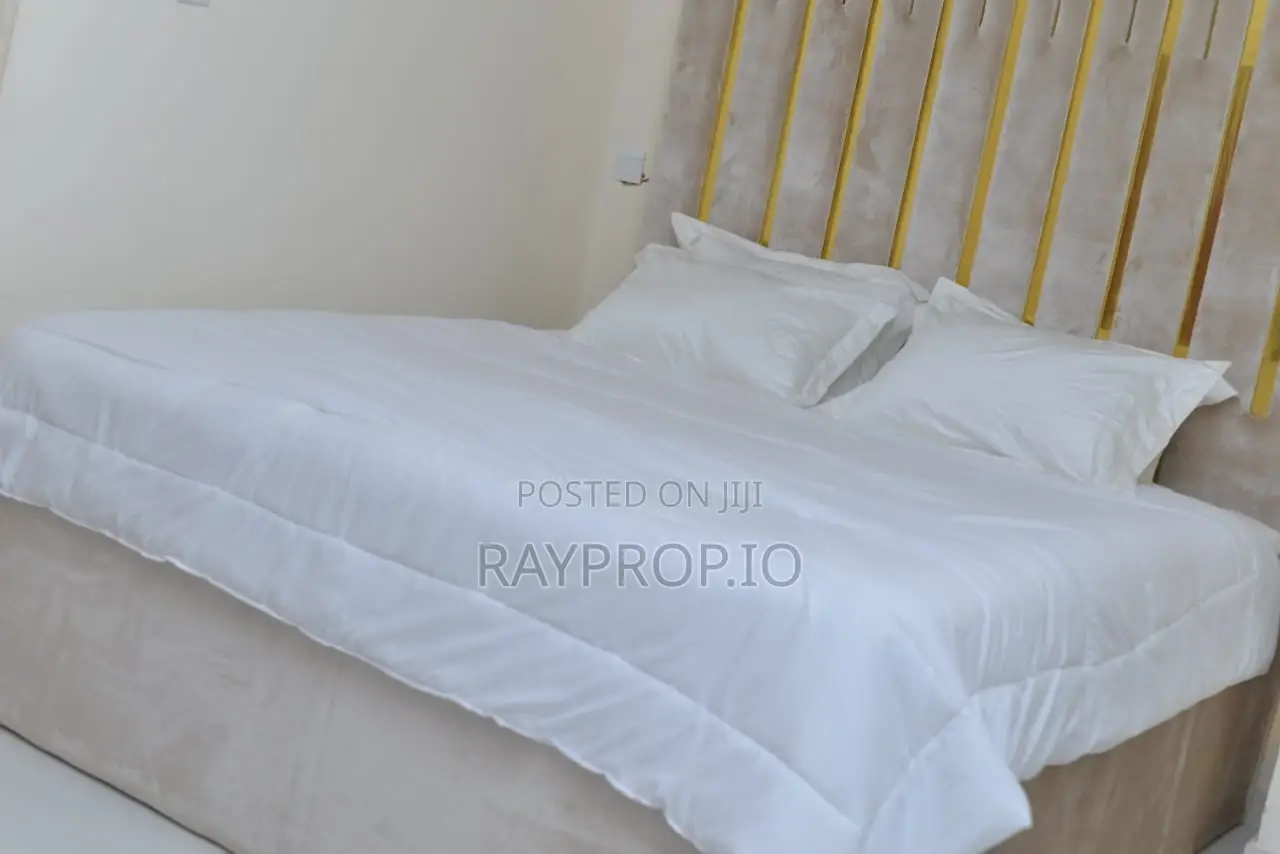 2 Bedroom Shortlet In Lekki Phase 1