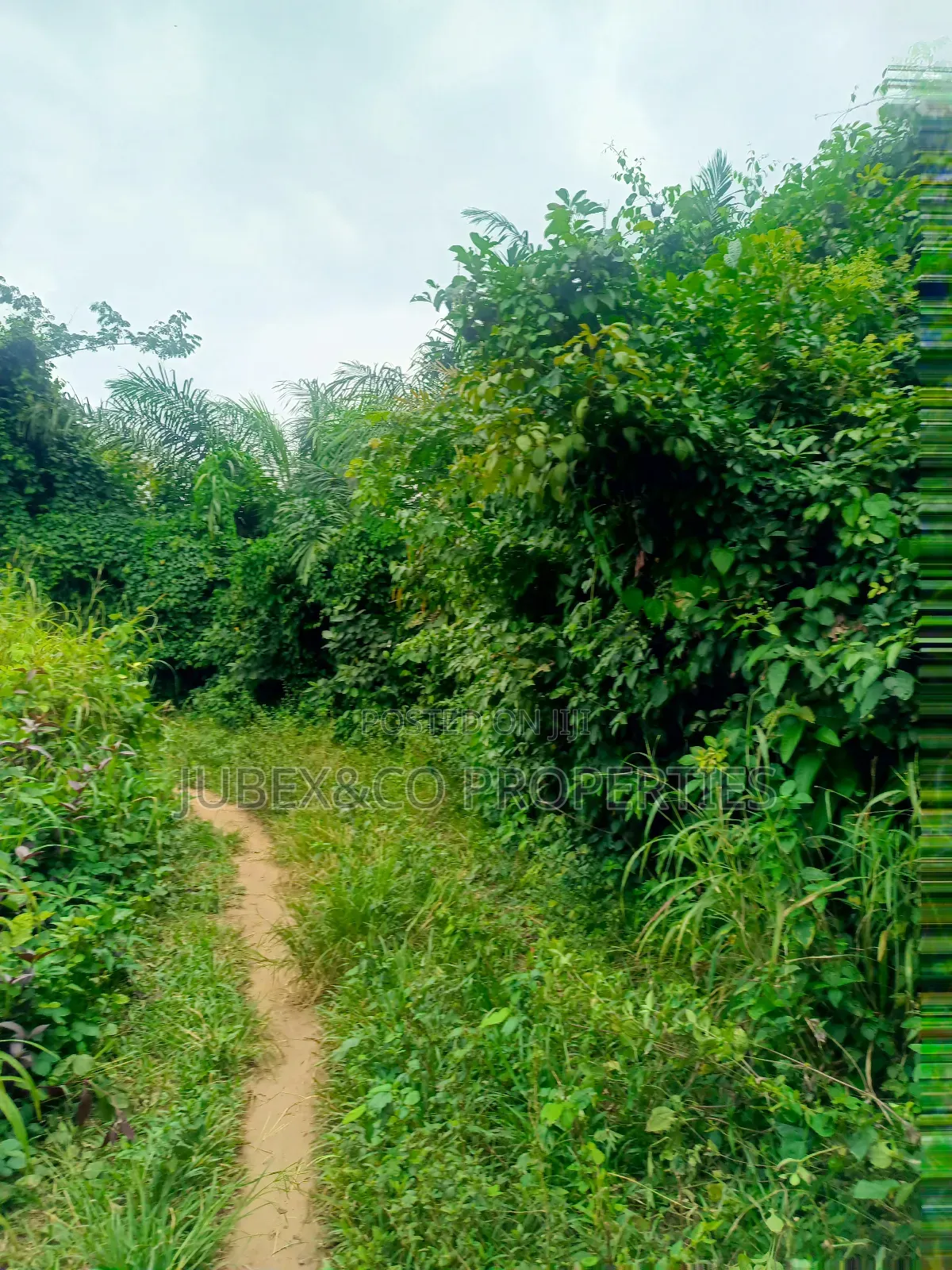 Farm Land Facing Express at Eredo Owode