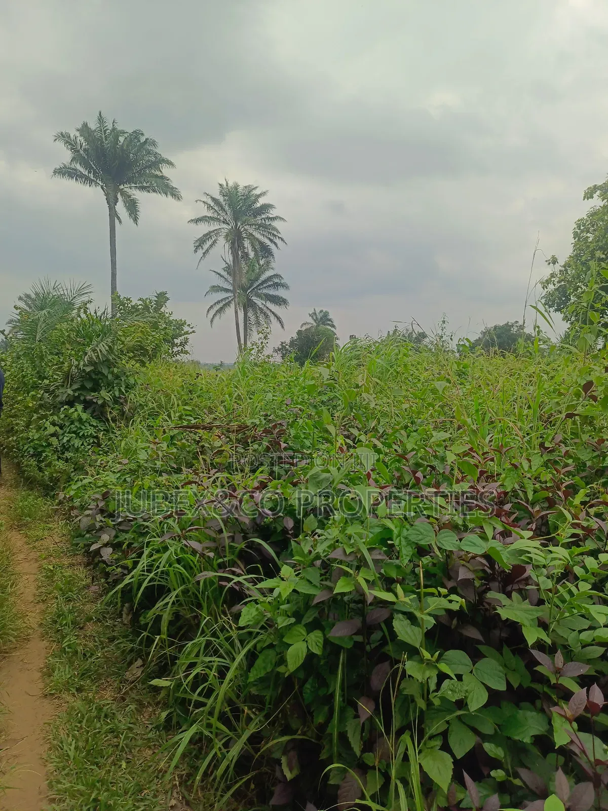 Farm Land at Igan Alade