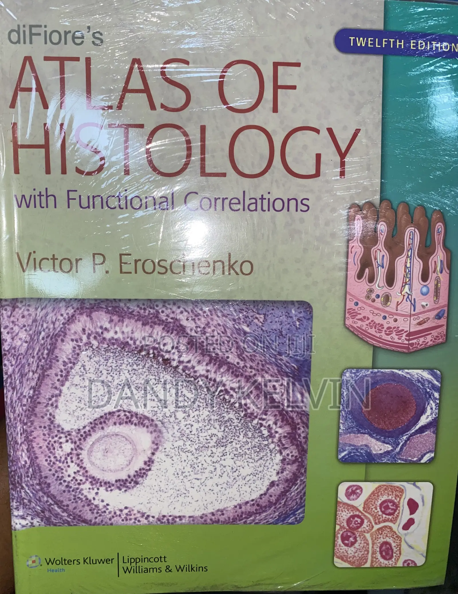 Atlas of Histology
