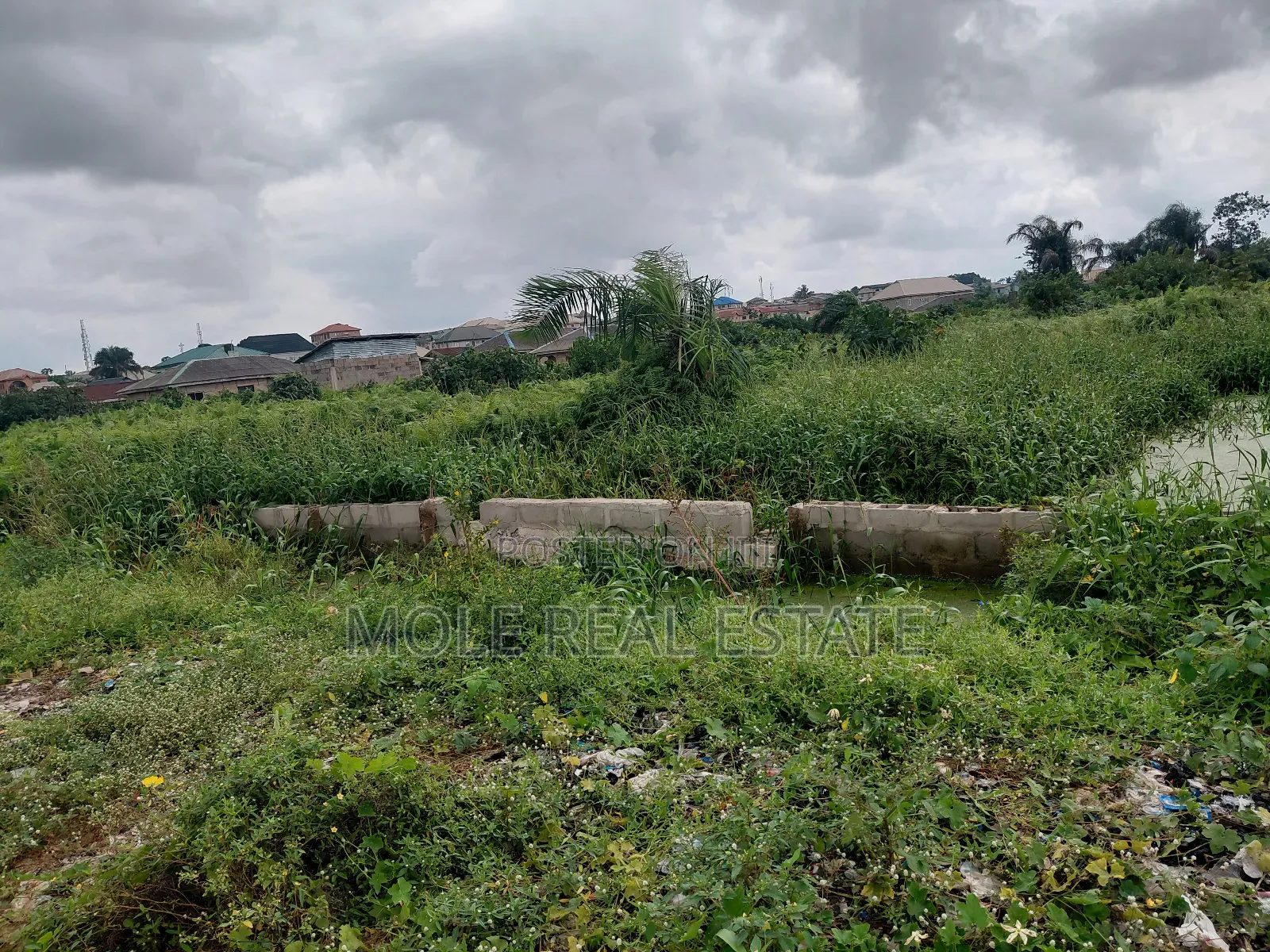 75ft by 145ft ( 1000sqm ) 2 Plot Ijegun Festac Lasu New Link Rd Lgos