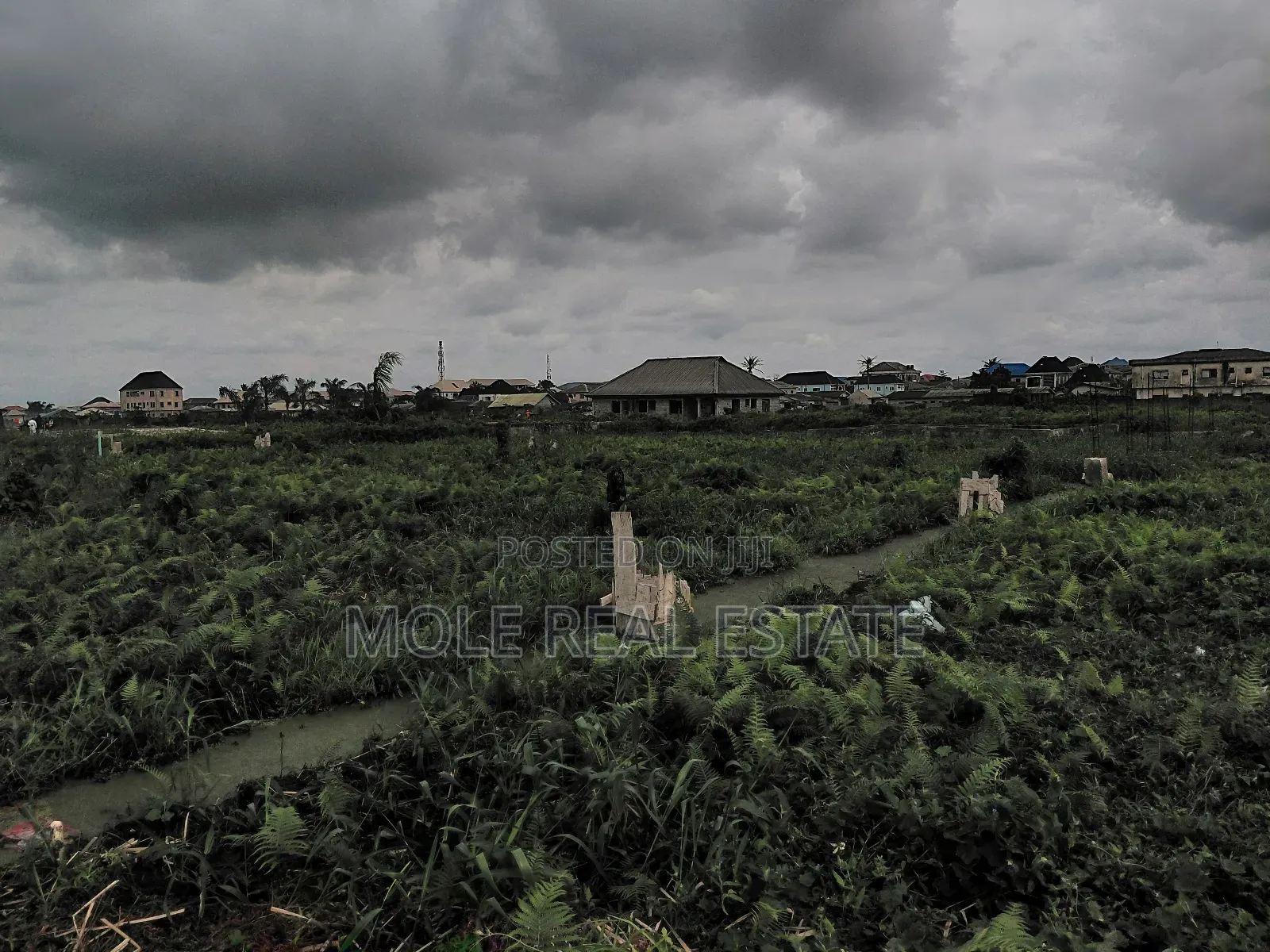 75ft by 145ft ( 1000sqm ) 2 Plot Ijegun Festac Lasu New Link Rd Lgos