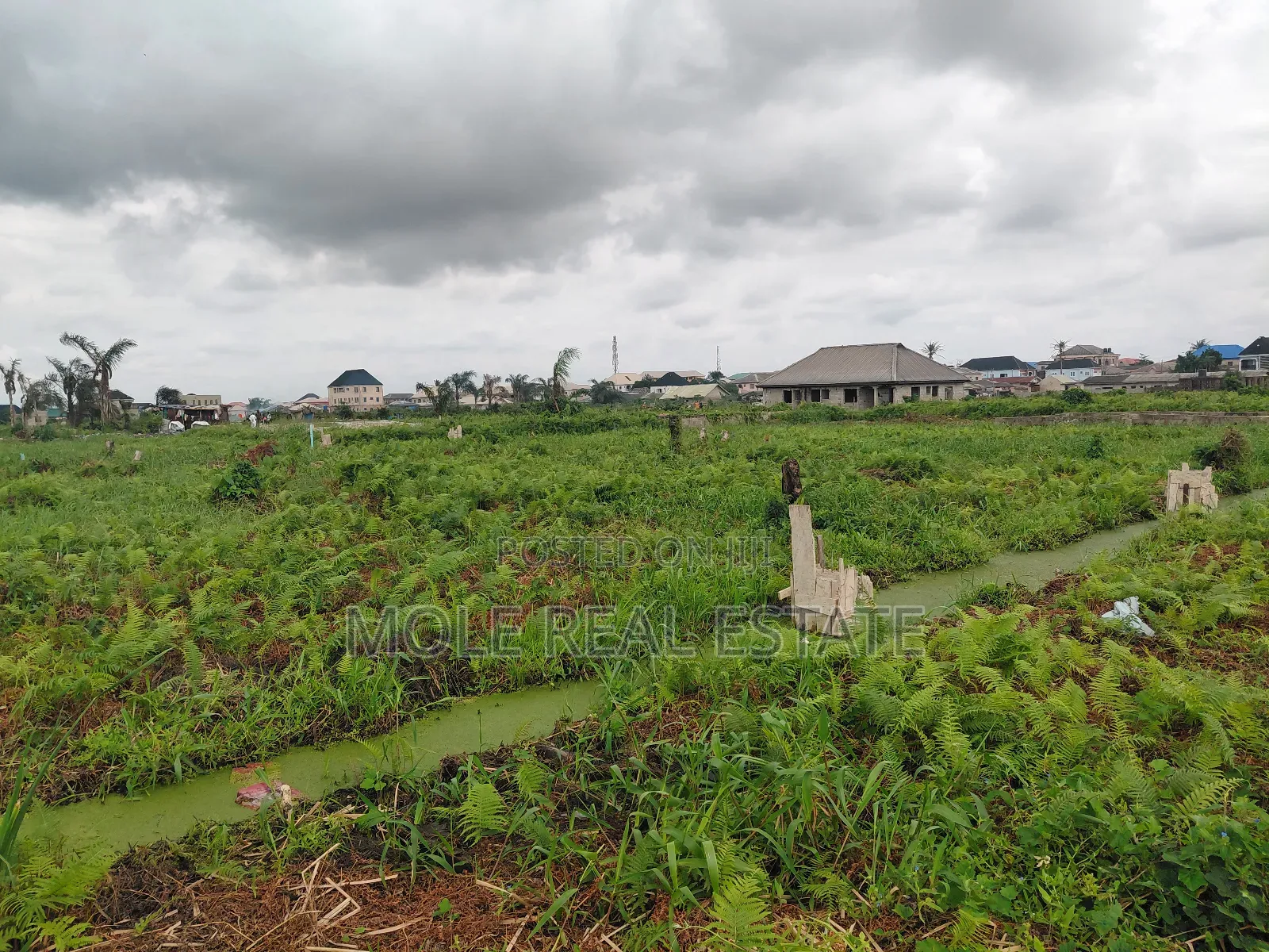 75ft by 145ft ( 1000sqm ) 2 Plot Ijegun Festac Lasu New Link Rd Lgos