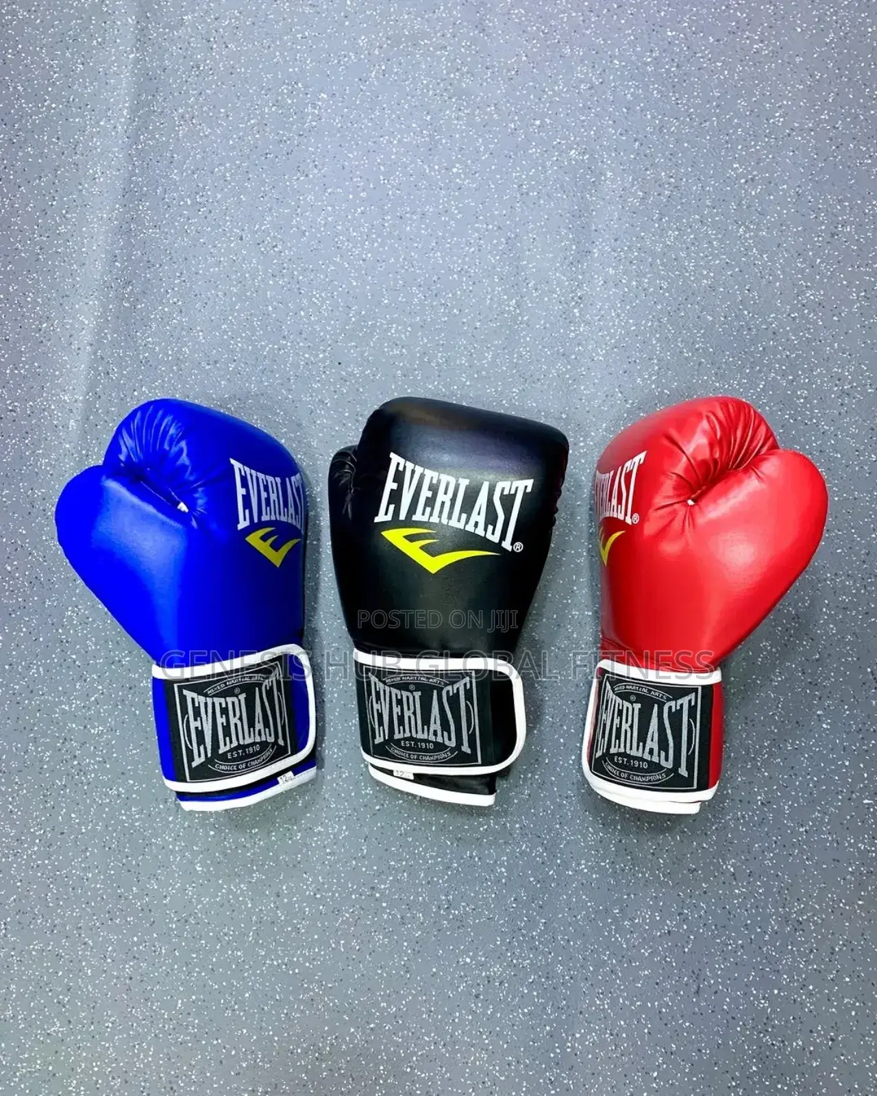 New Boxing Gloves (Everlast)