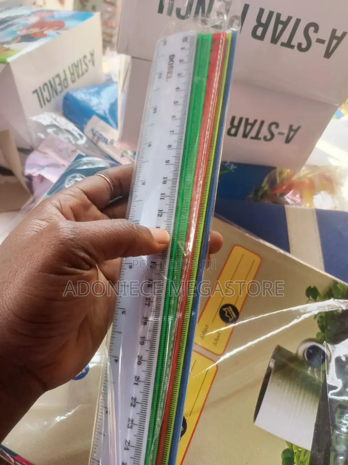 Plastic and Metal Ruler