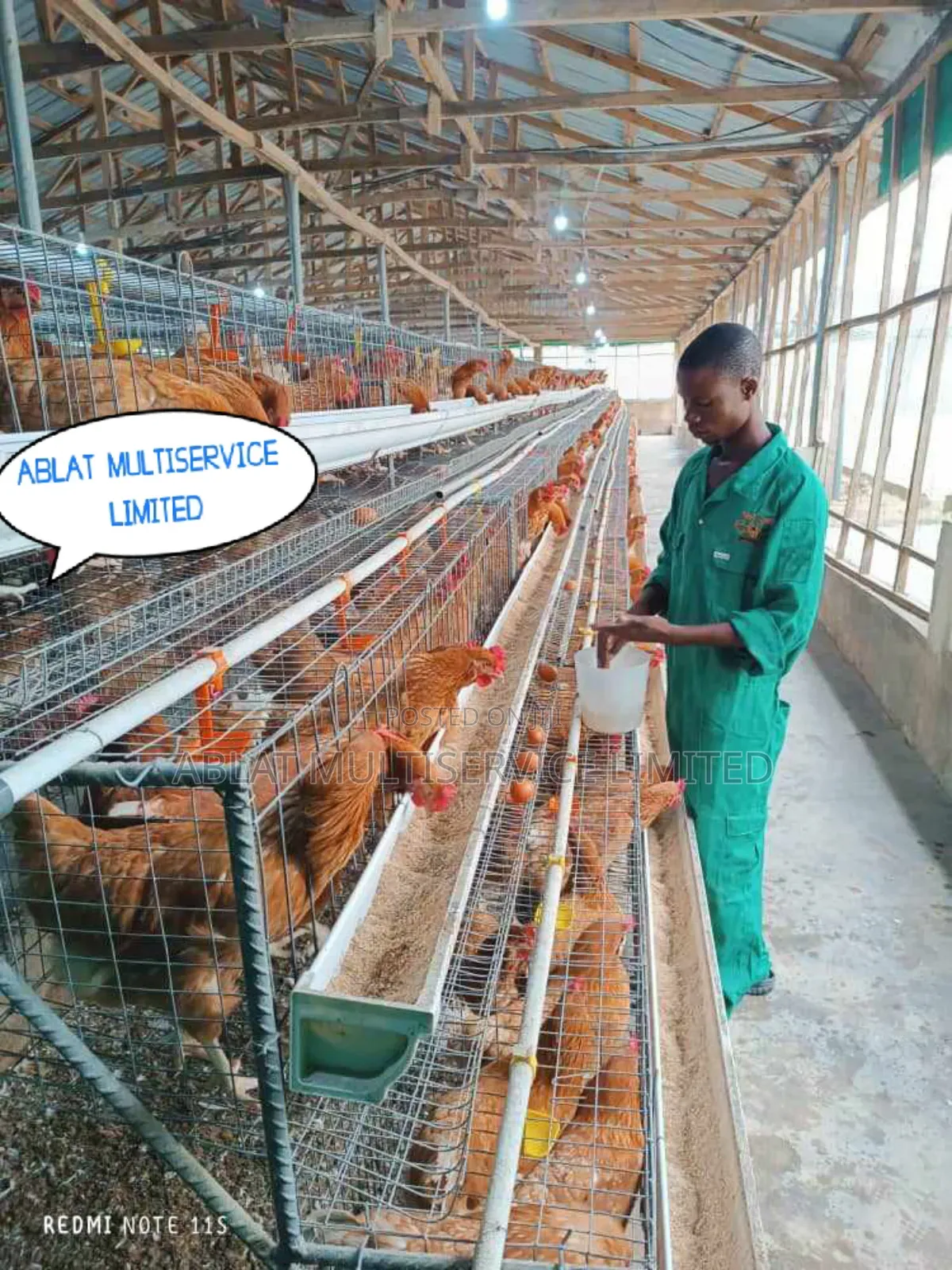 Made in Nigeria Cage