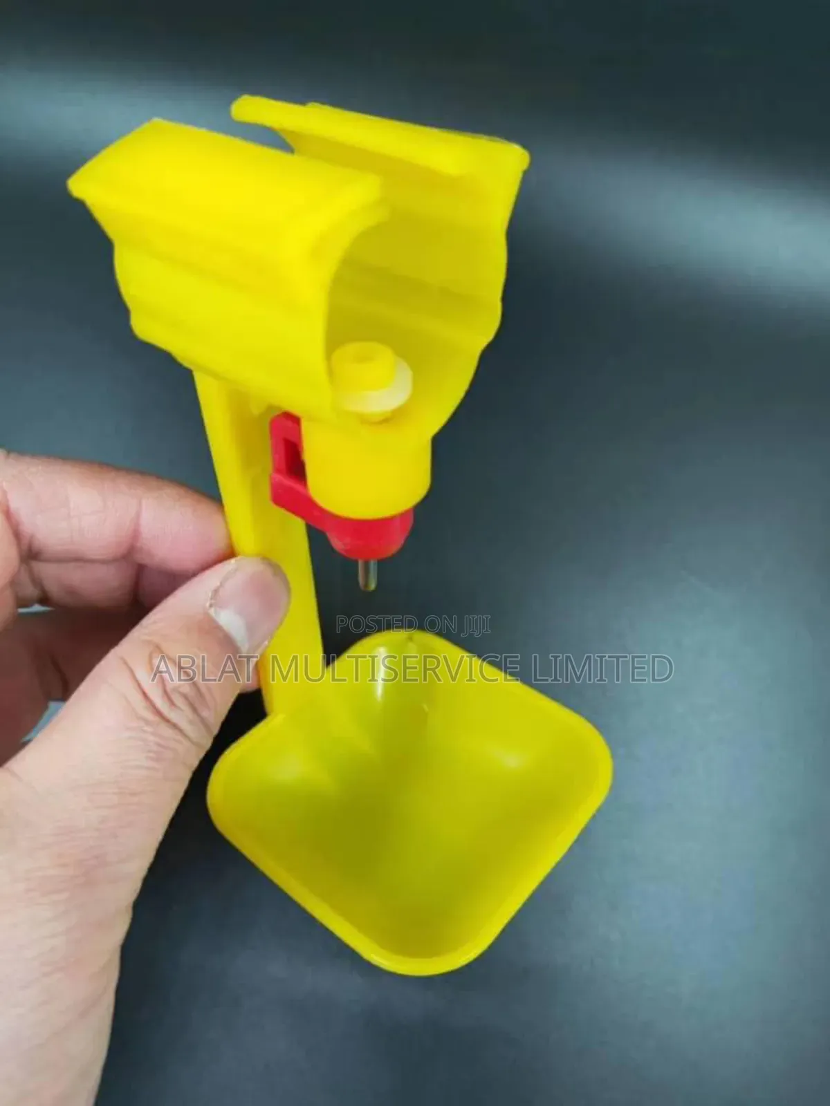 Nipples With Cup