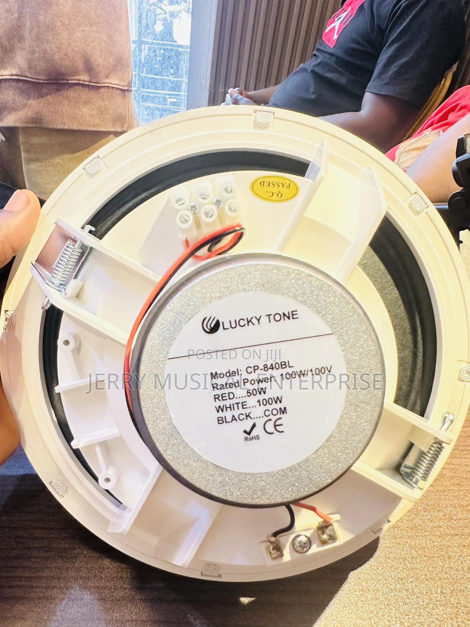 Lucky Tone 100watts Ceiling Speakers