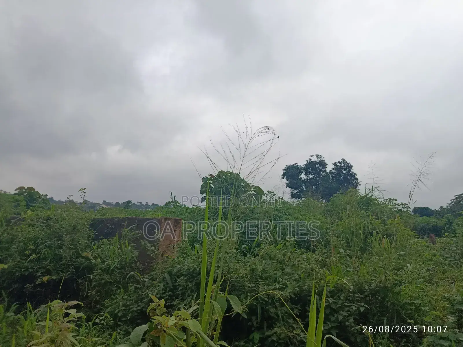 Plots of Land for Sale Along Iita Rd, Laniba,Ajibode Ui Extn, Ibadan