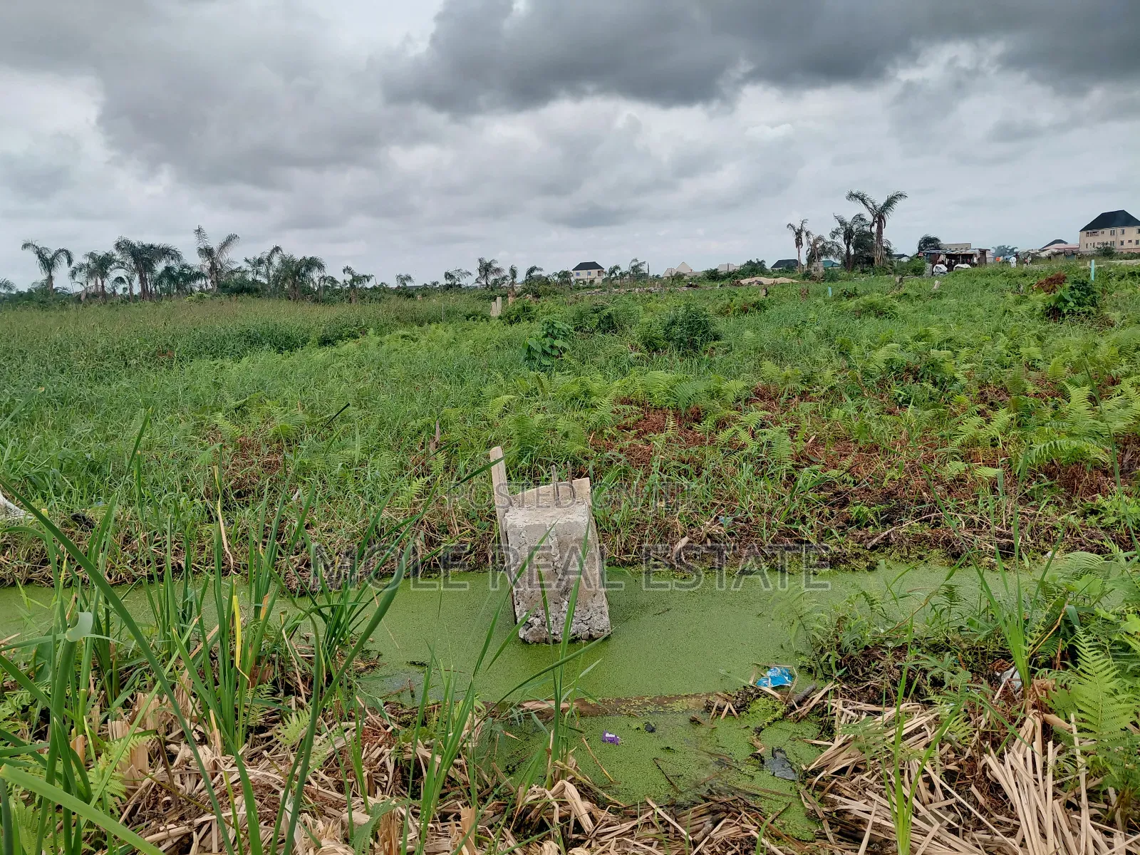Full Plot of Land Ijegemo New Interlocked Highway