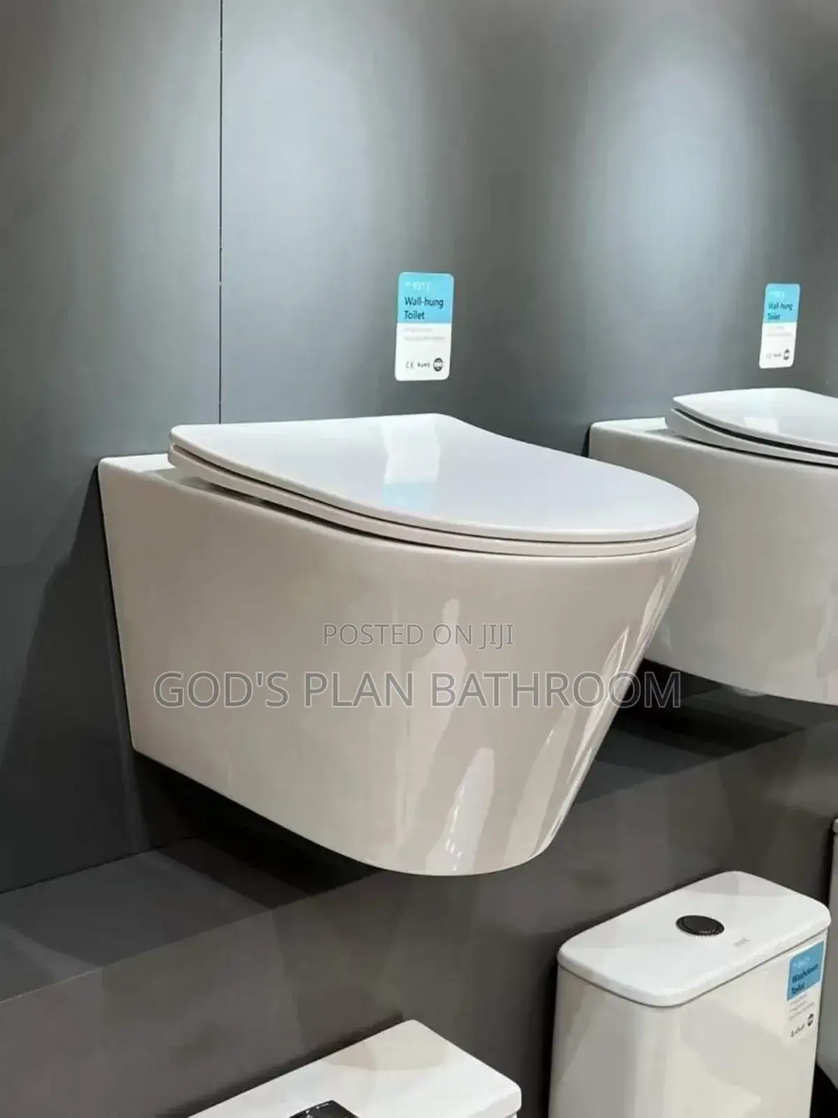 Conceal Toilet
