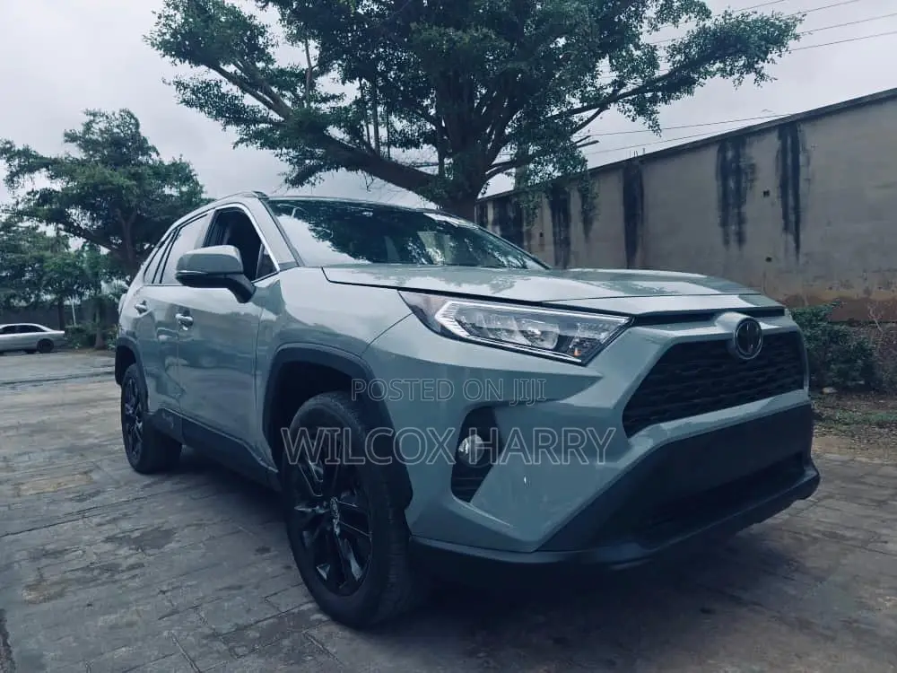Toyota RAV4 XLE Premium AWD 2020 Green