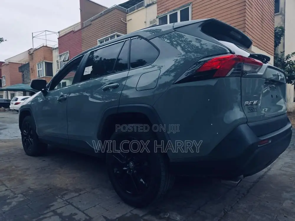 Toyota RAV4 XLE Premium AWD 2020 Green
