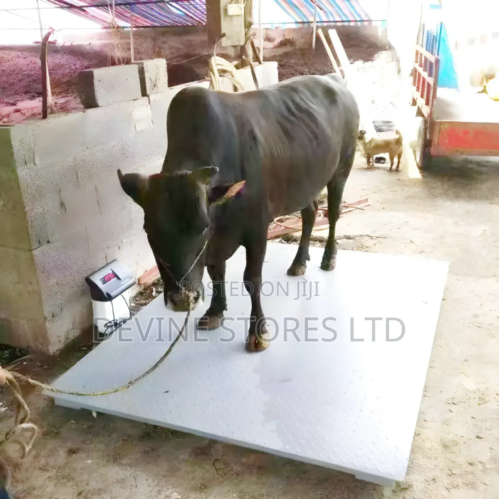 5000tons 1.5mmx1.5mm Electronic Digital Floor Scale