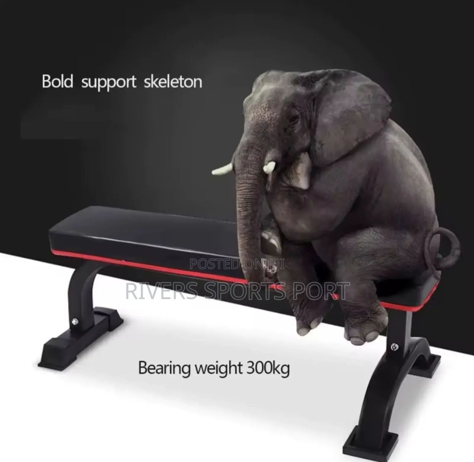 High-End Commercial Professional Balance Flat Bench Weight Bench Press