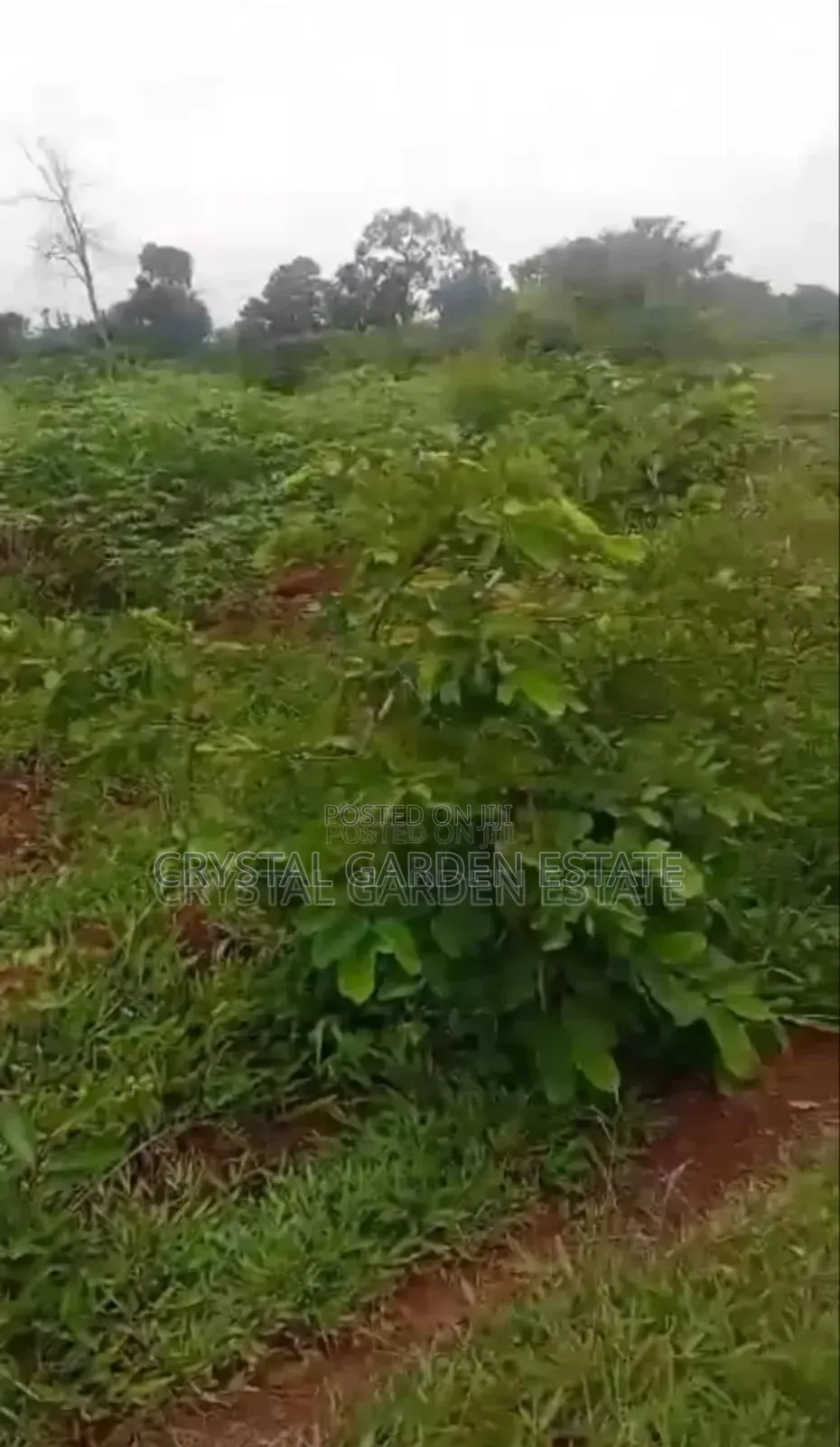 50x100sq.Meter: Land For Sale At Oko River.