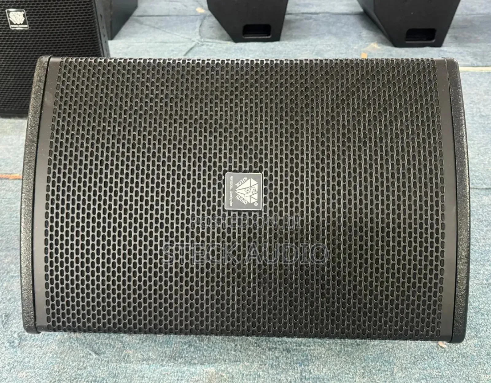STX 112m Steck Audio Professional Speaker
