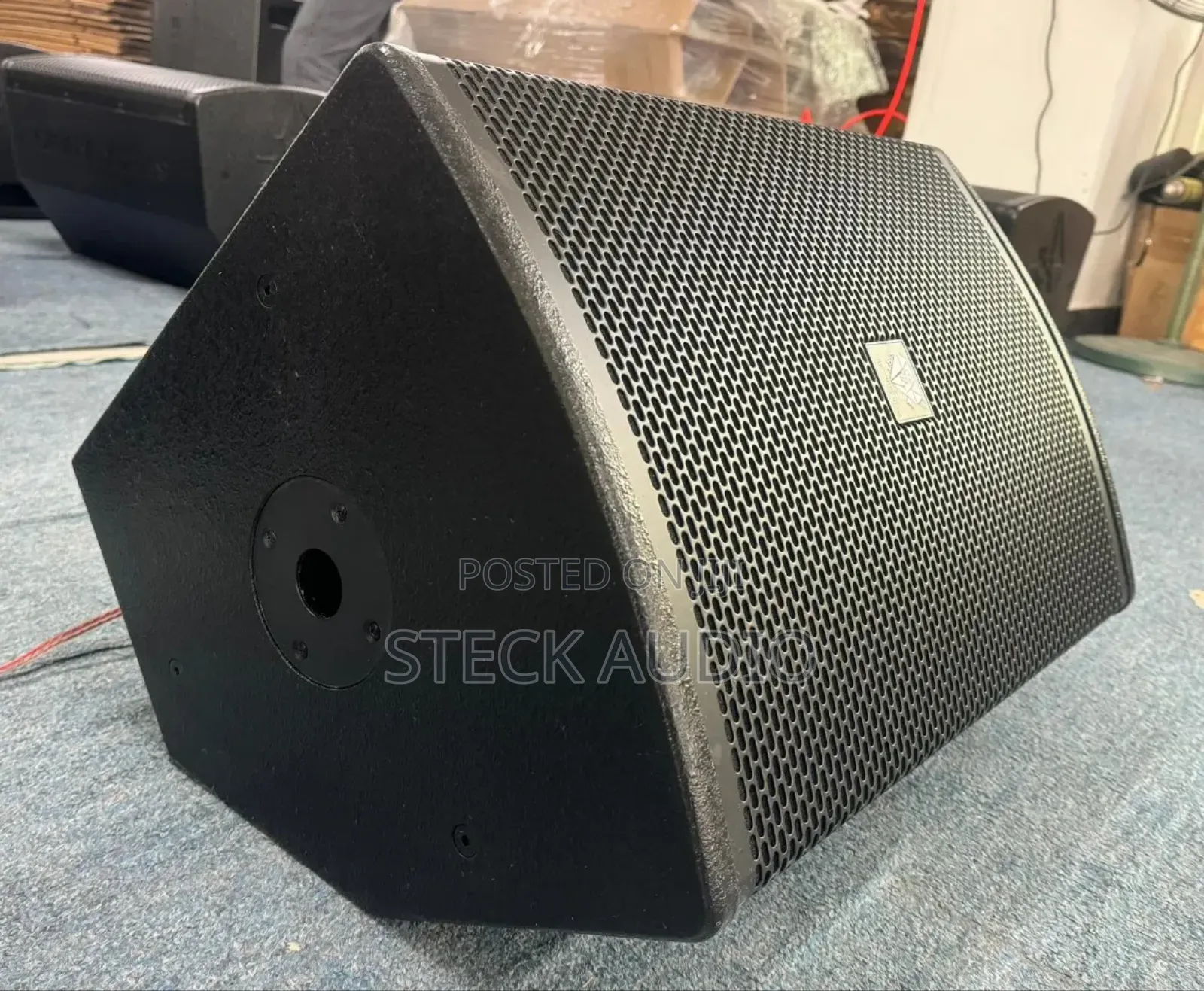 STX 112m Steck Audio Professional Speaker