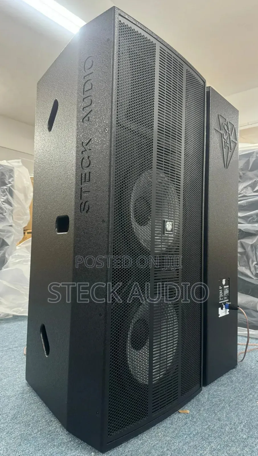 STX 215 Steck Audio Professional Cloud Speaker