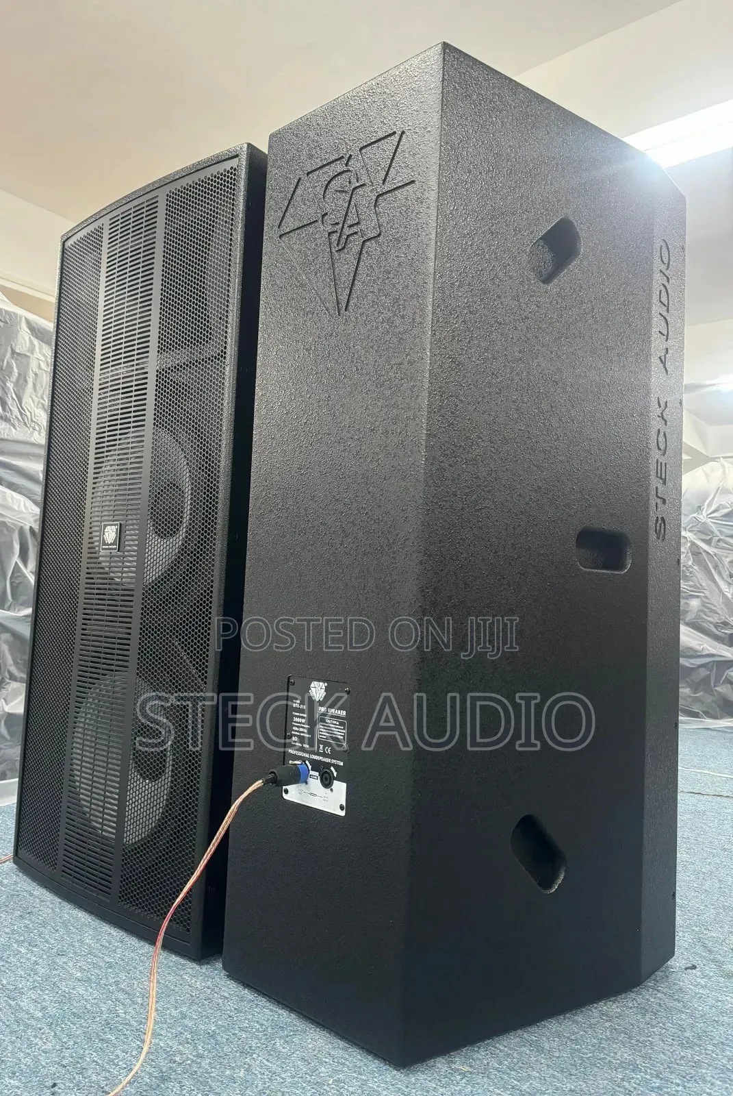 STX 215 Steck Audio Professional Cloud Speaker