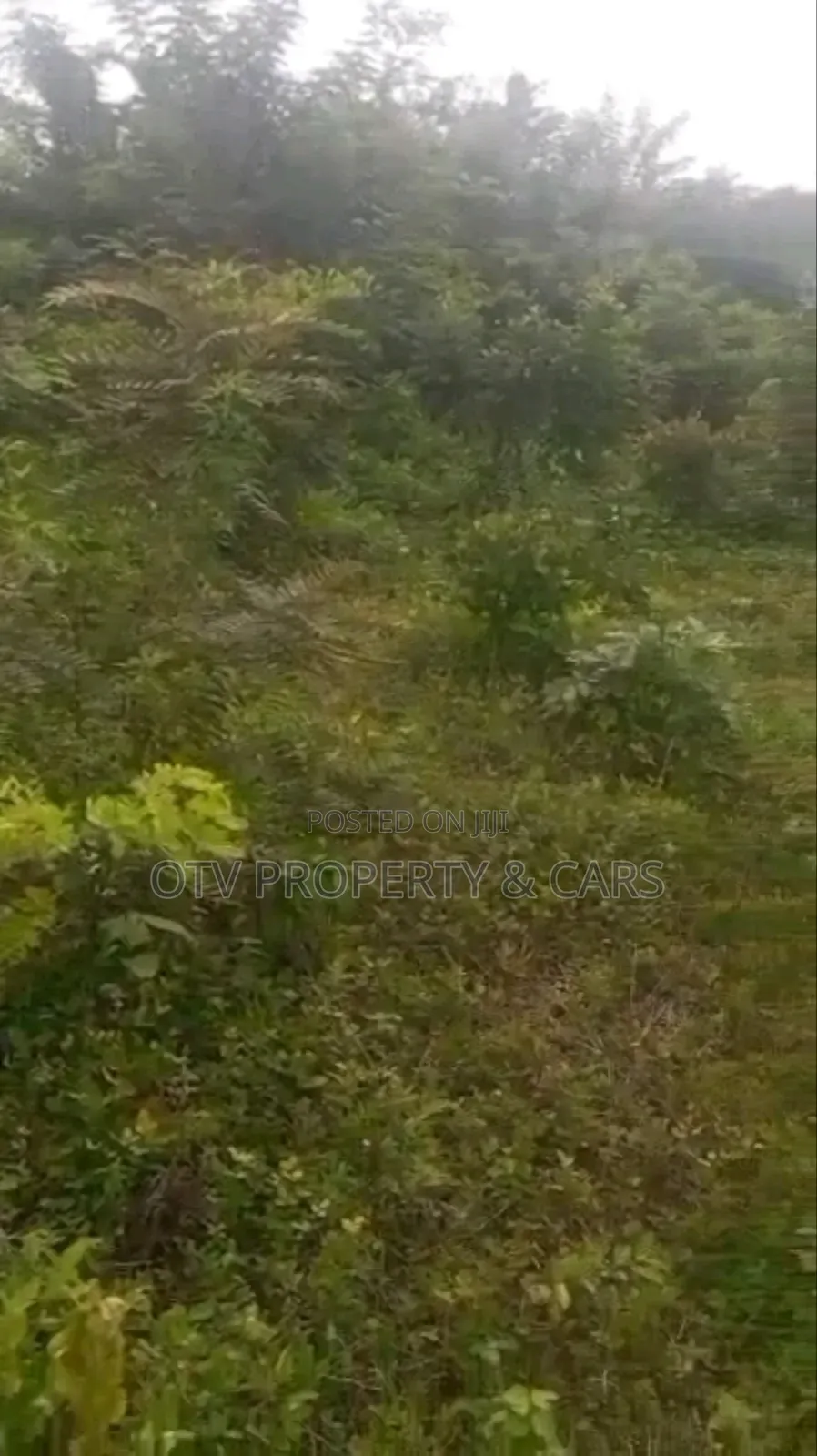 Standard 4plots of Land at Elekuru Road Along Iseyin Road Alabata