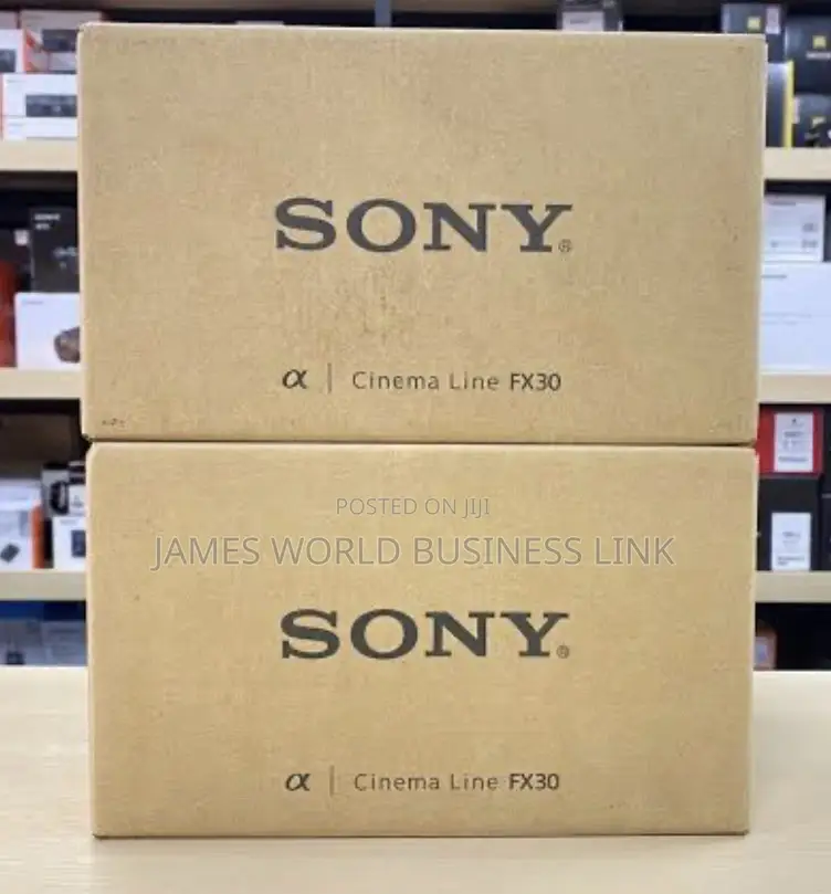Sony Camera Fx30