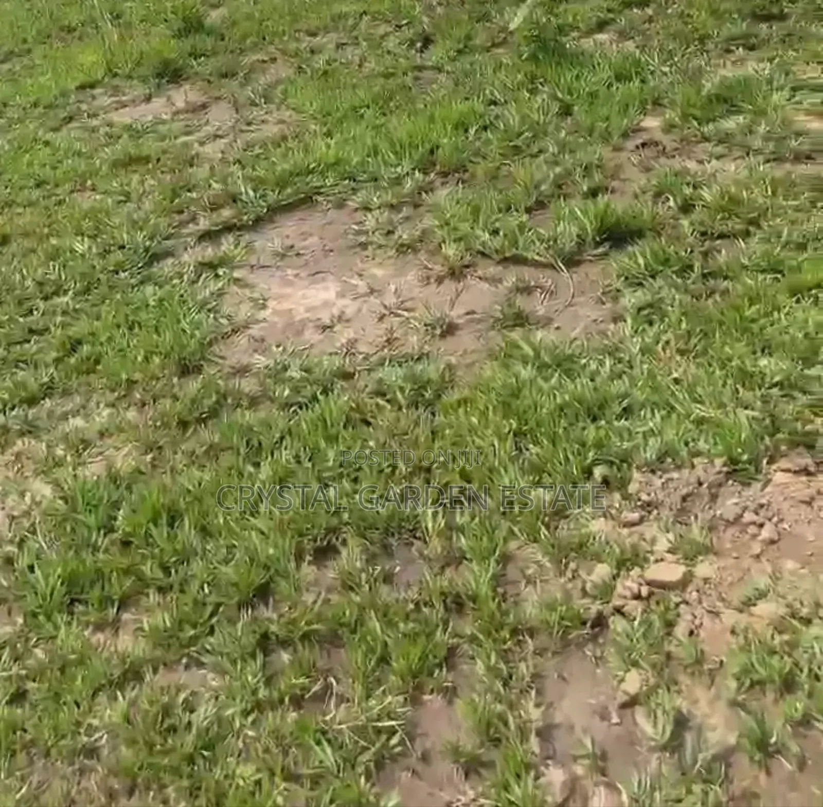 50x100sq.Meter; Land for Sale at Edoh Ogwashi.
