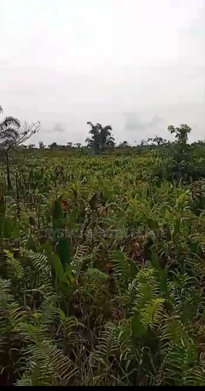50x100sq.Meter Land For Sale At Achalla Anambra State.