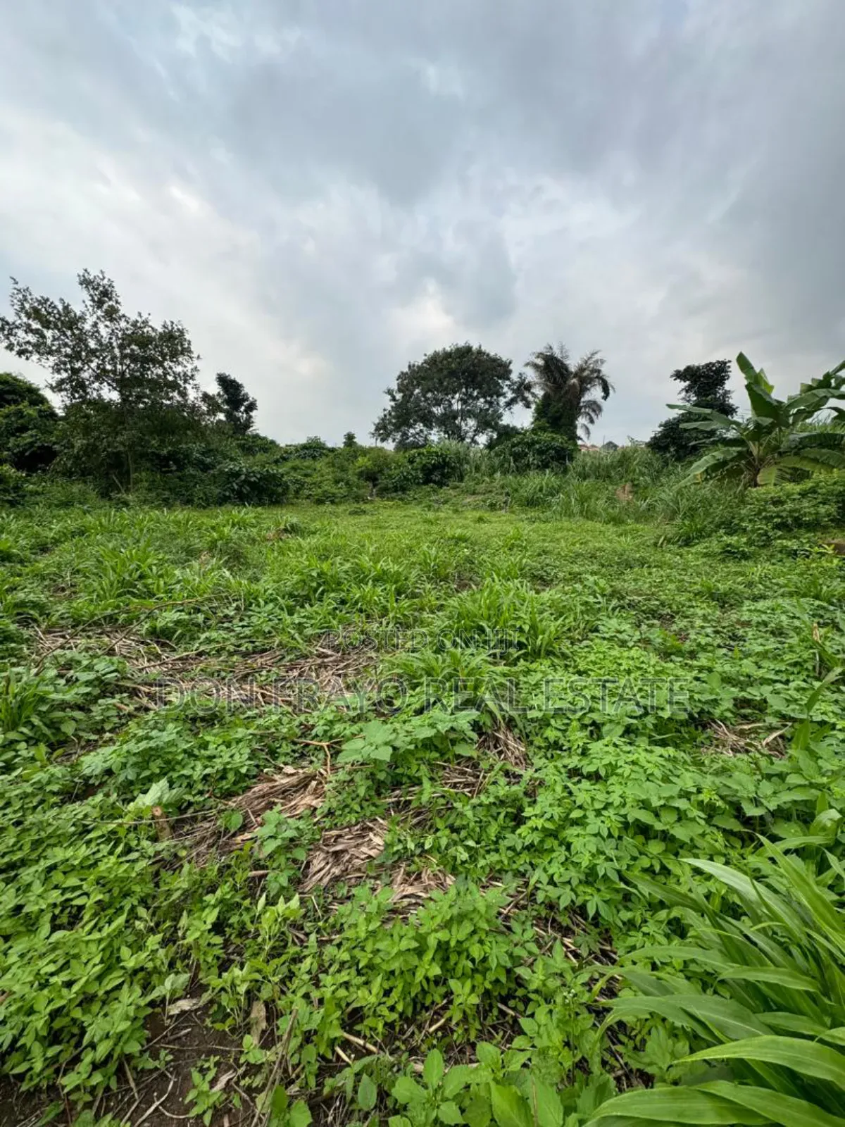 511 SQM Wet Land for Sale at Idi Orogbo Ojurin Akobo Area Ibadan