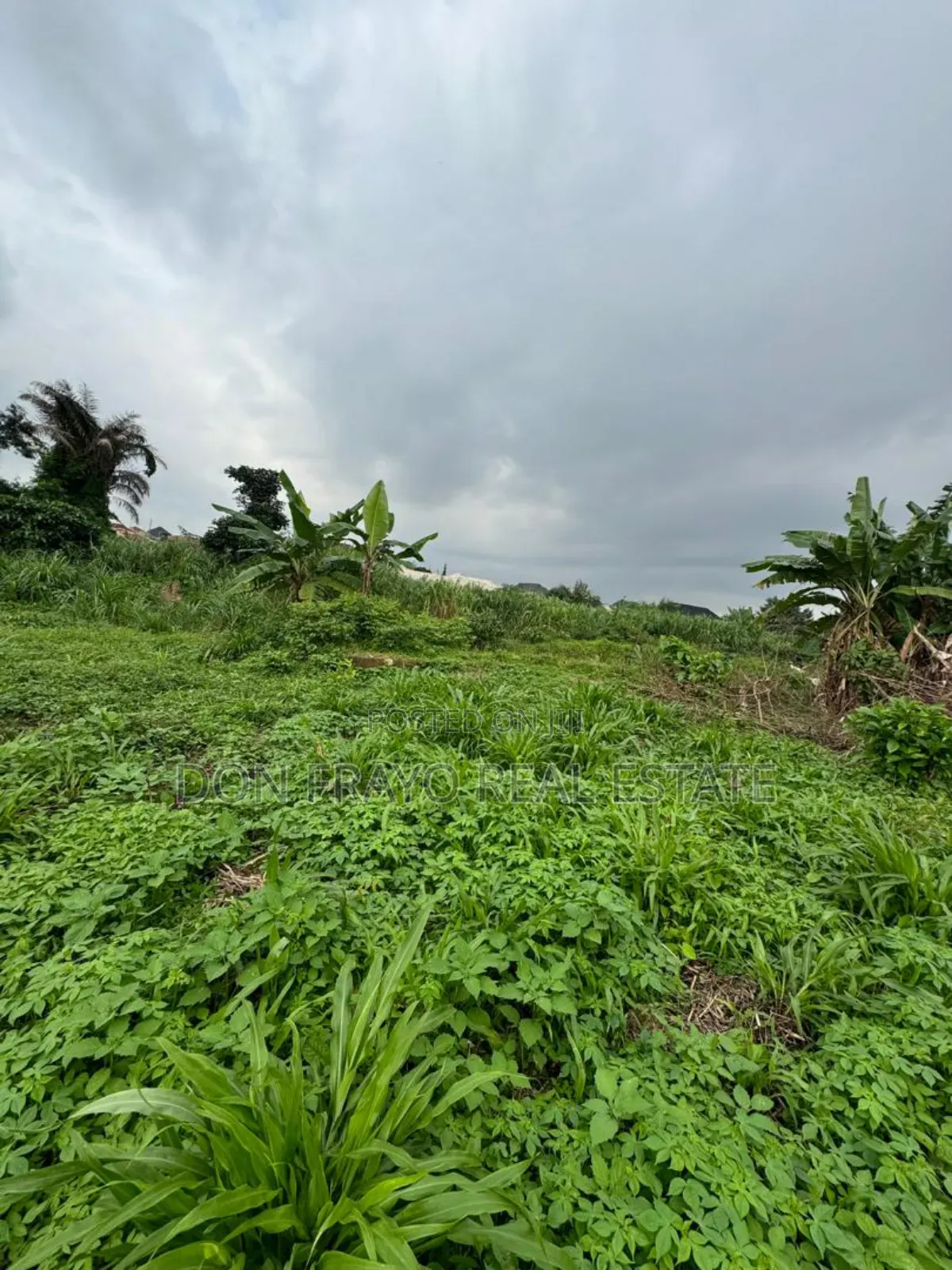 511 SQM Wet Land for Sale at Idi Orogbo Ojurin Akobo Area Ibadan