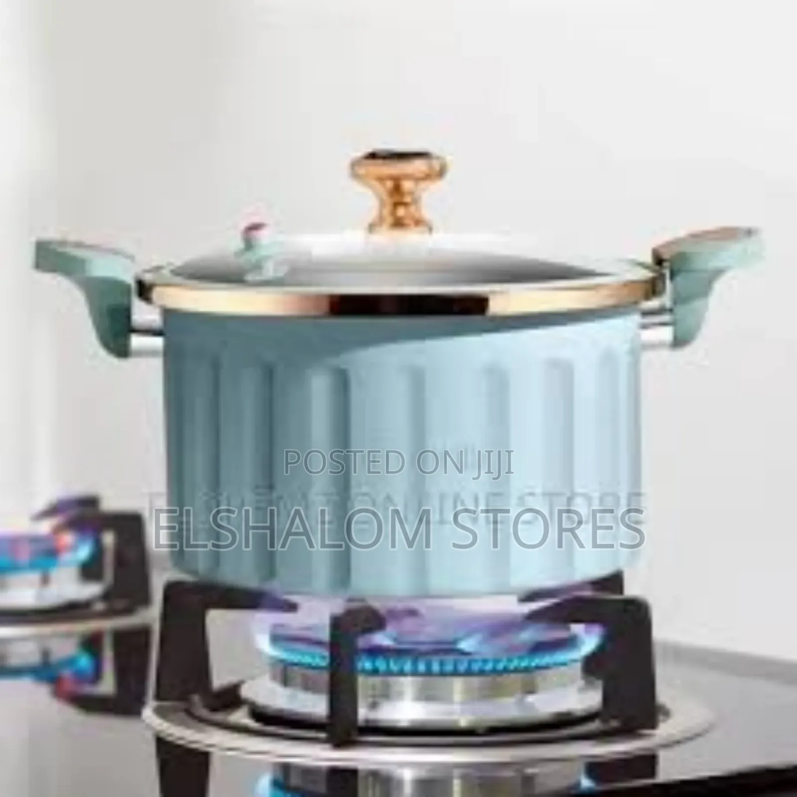 10 Litres Micro Pressure Nonstick Pot