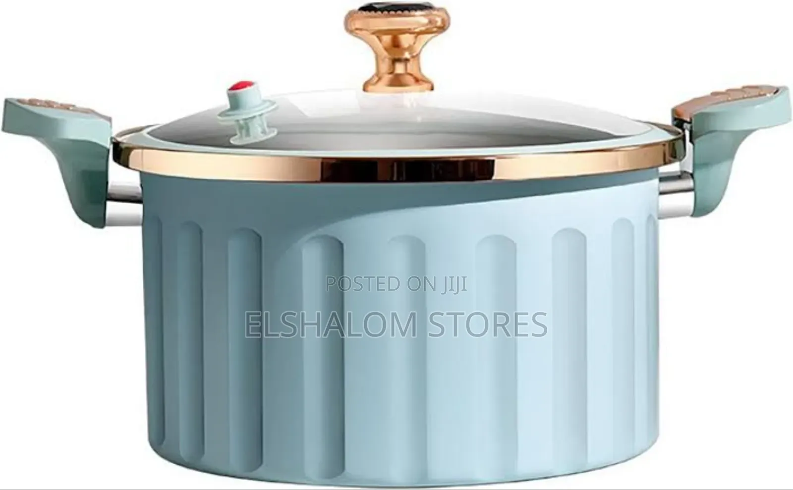10 Litres Micro Pressure Nonstick Pot