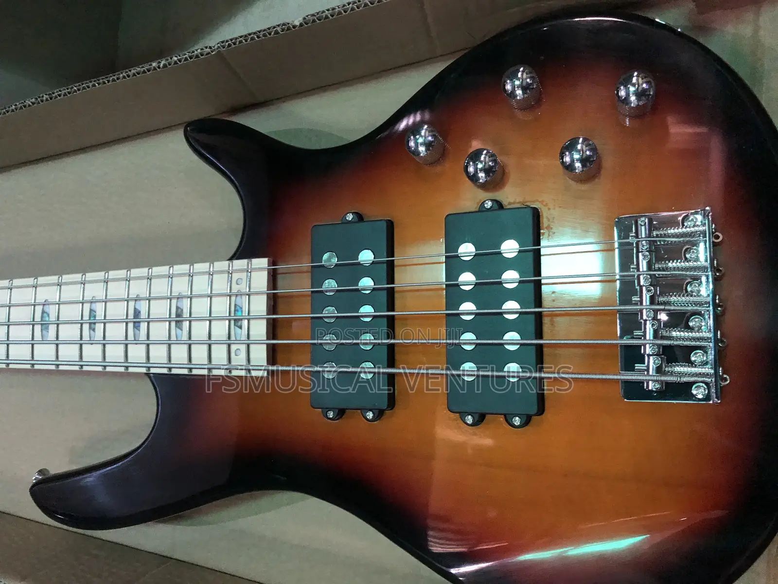 Ibanez Gio 5 Strings Professional Bass Guitar