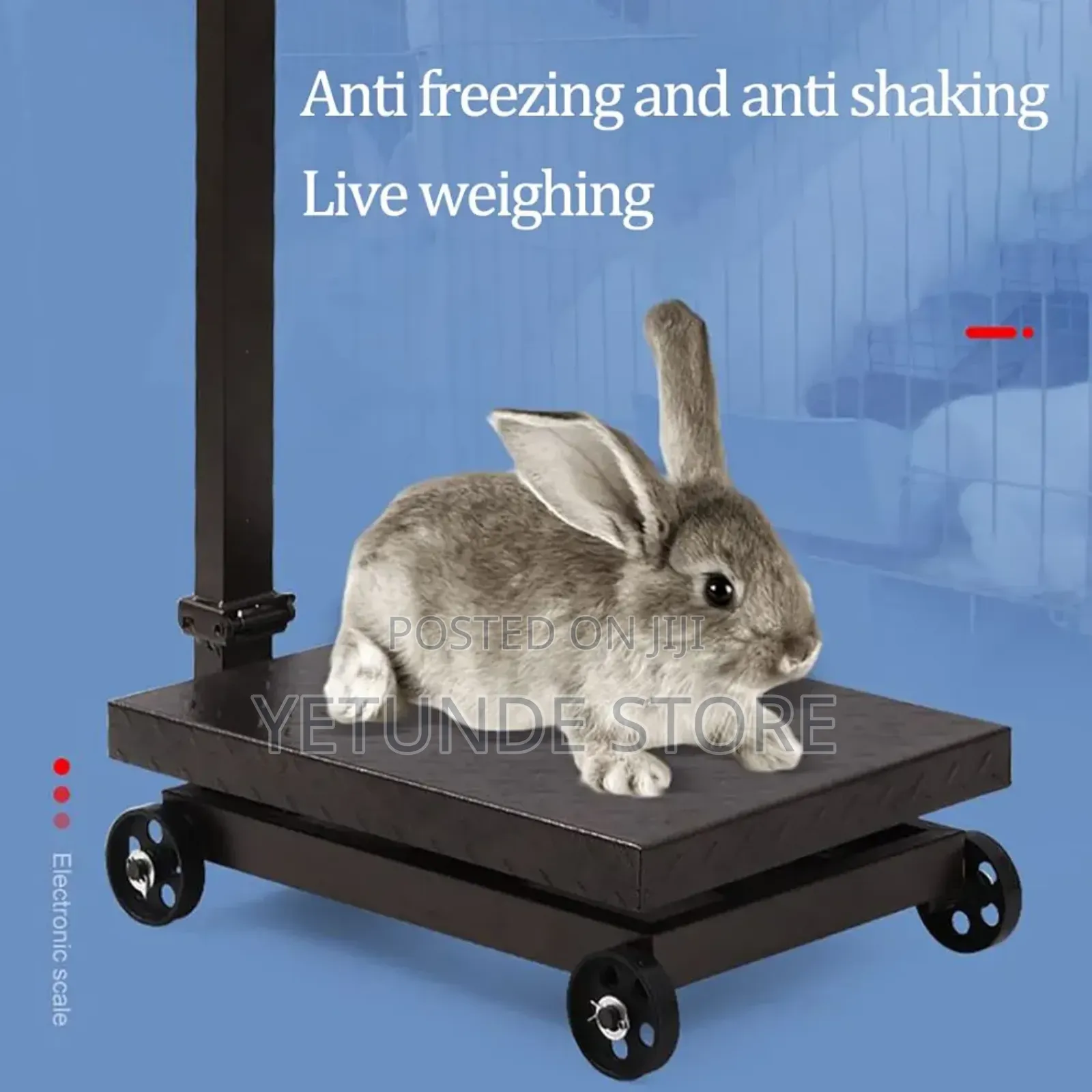 Large Platform Scale With Wheel 660 Lb Floor Weight Computing