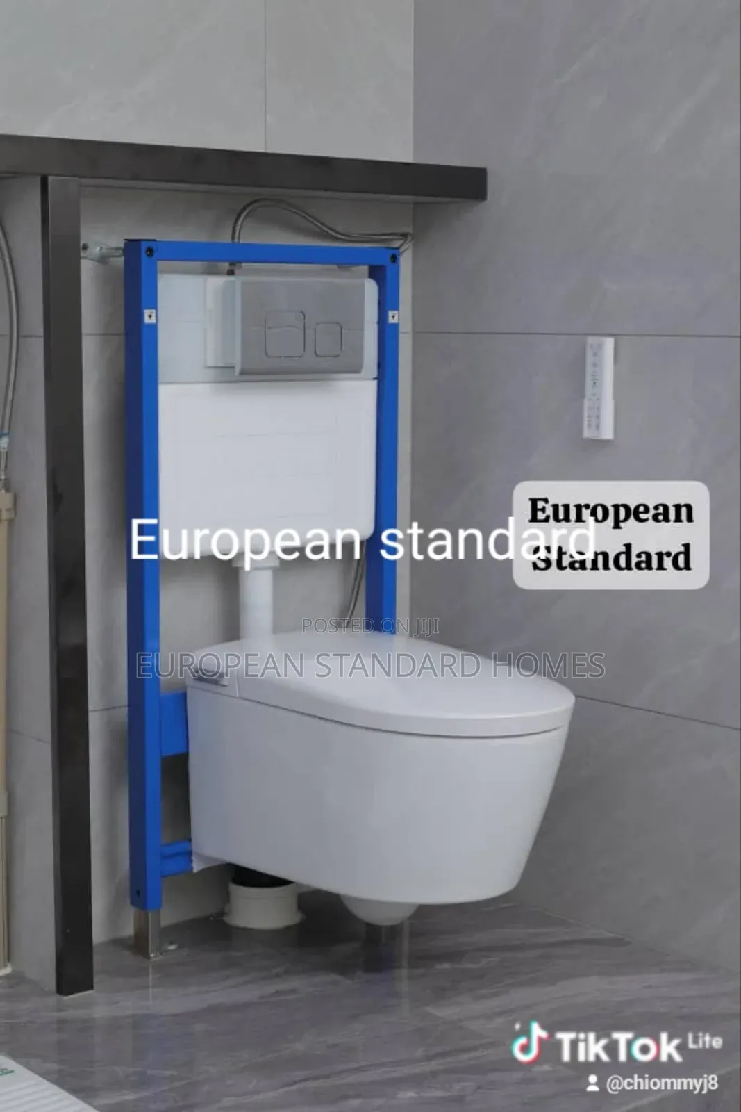 Conceal Toilet European Standard
