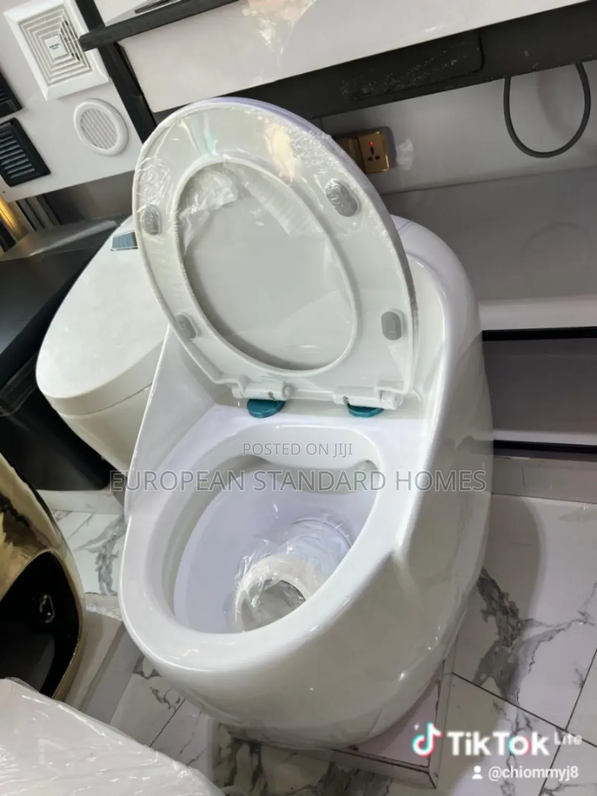 Egg Shape Toilet