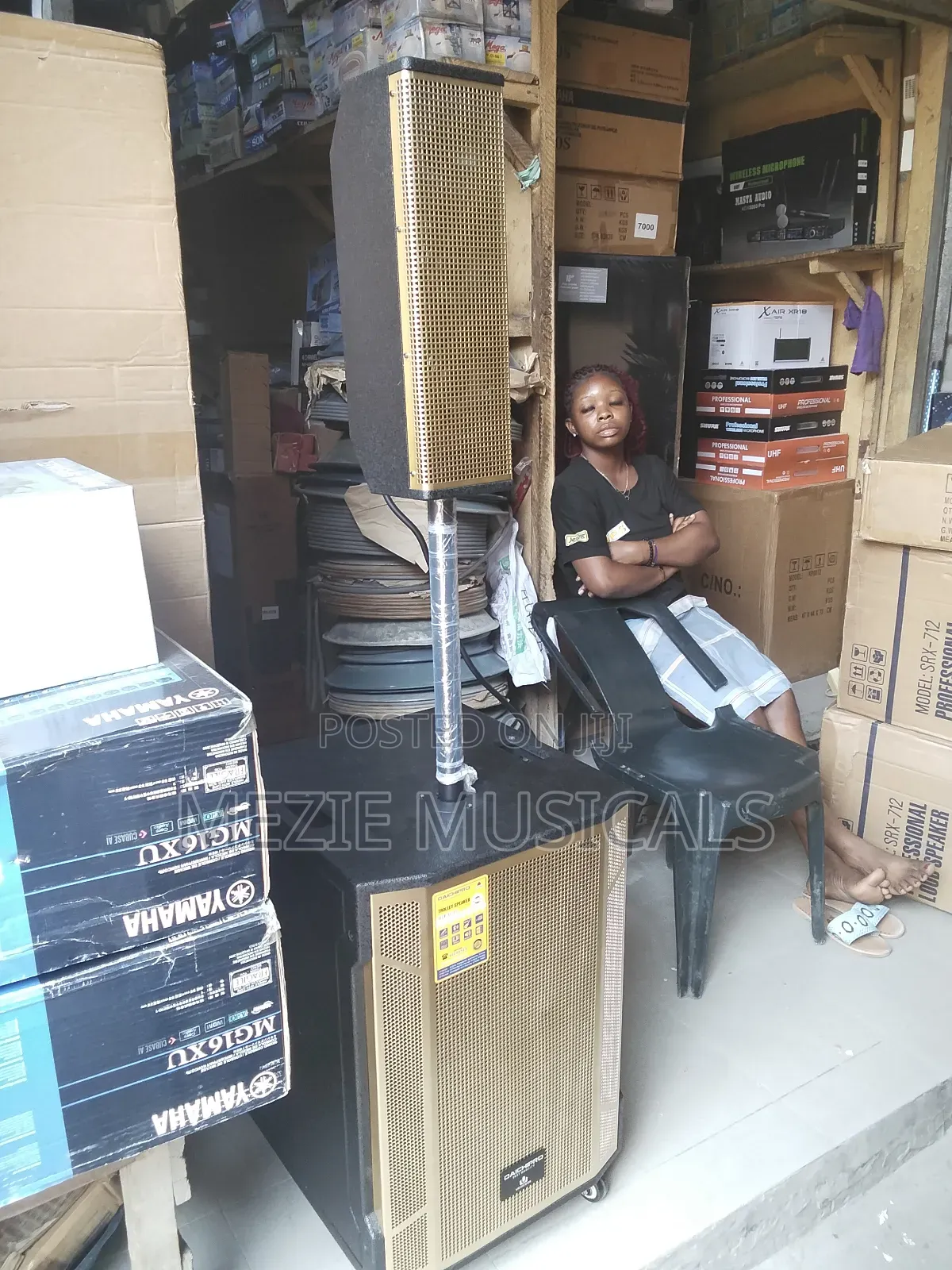 Rechargeable 15 Inches Subwoofer and 3in1 8 Inches Public Address