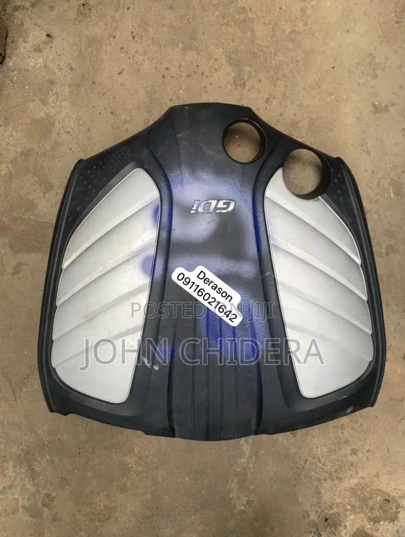 Engine Cover Santafe Grande 014