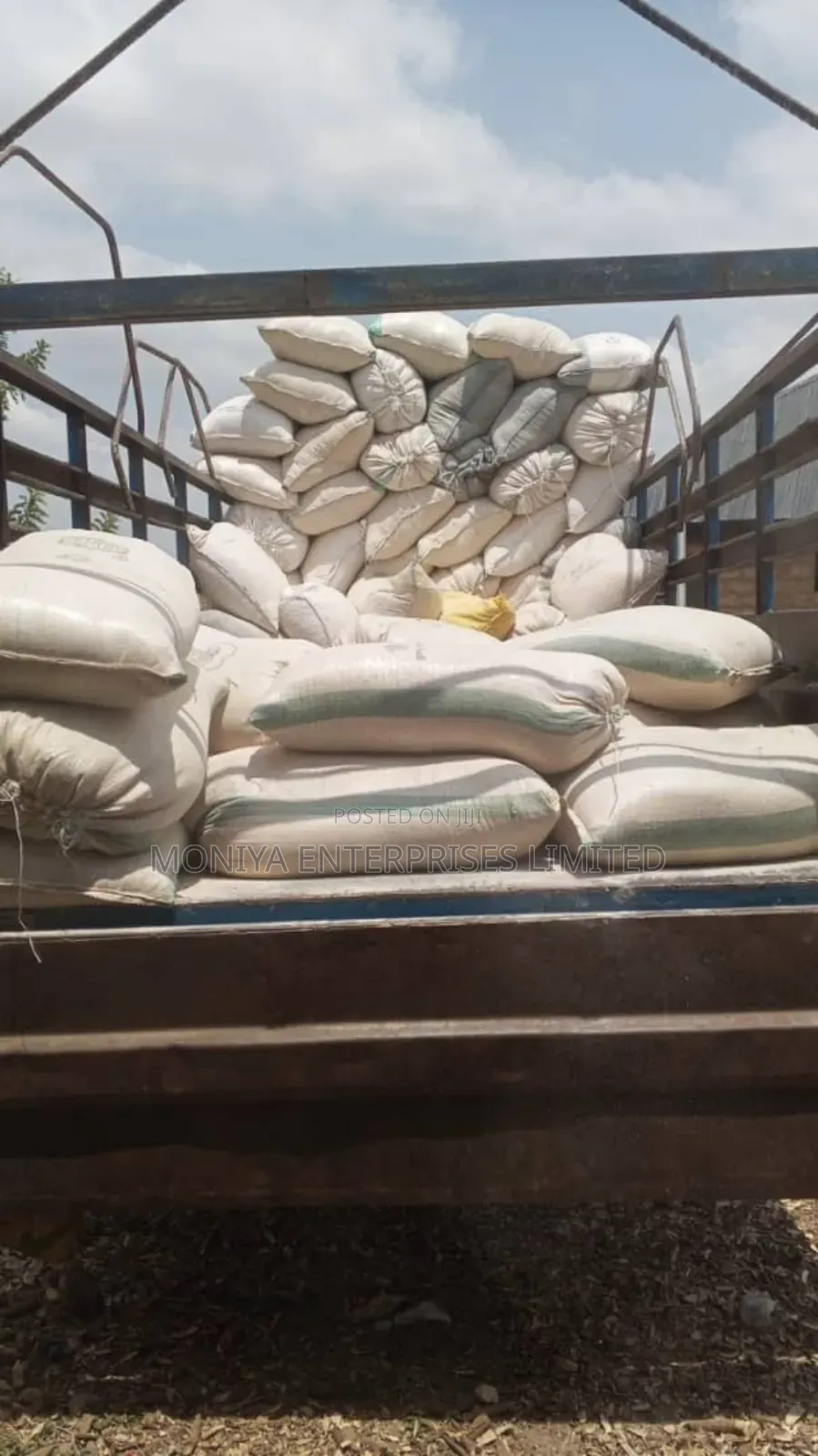 Cassava Peel Meal (Cpm) for Pig Farmers – Save Feed Cost