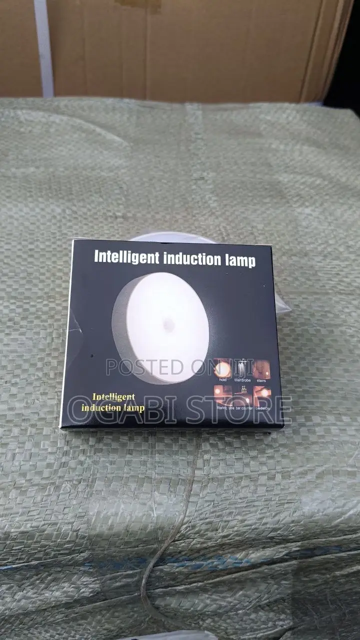 Intelligent Induction Lamp