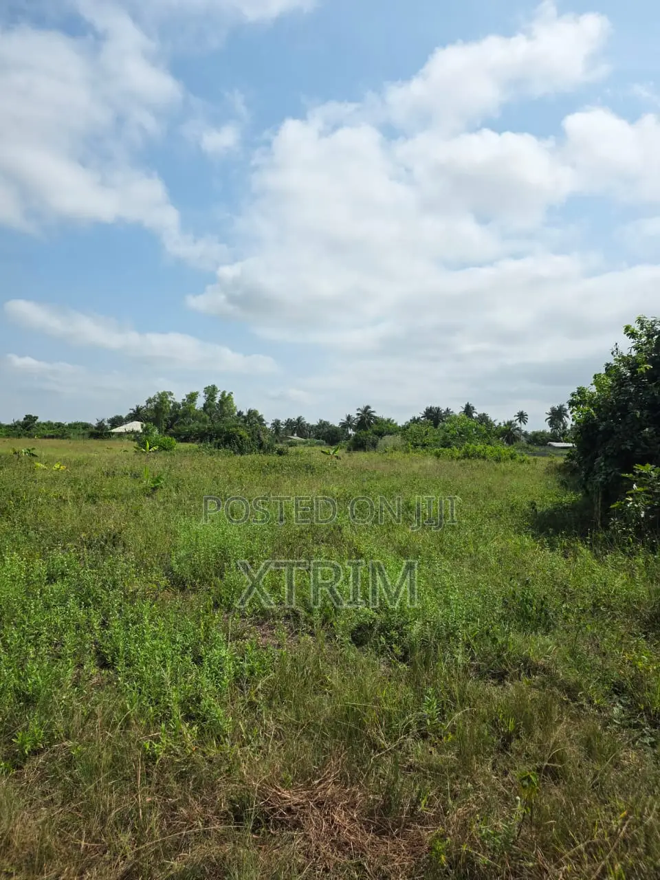 Prime Land for Sale – Badagry, Lagos!