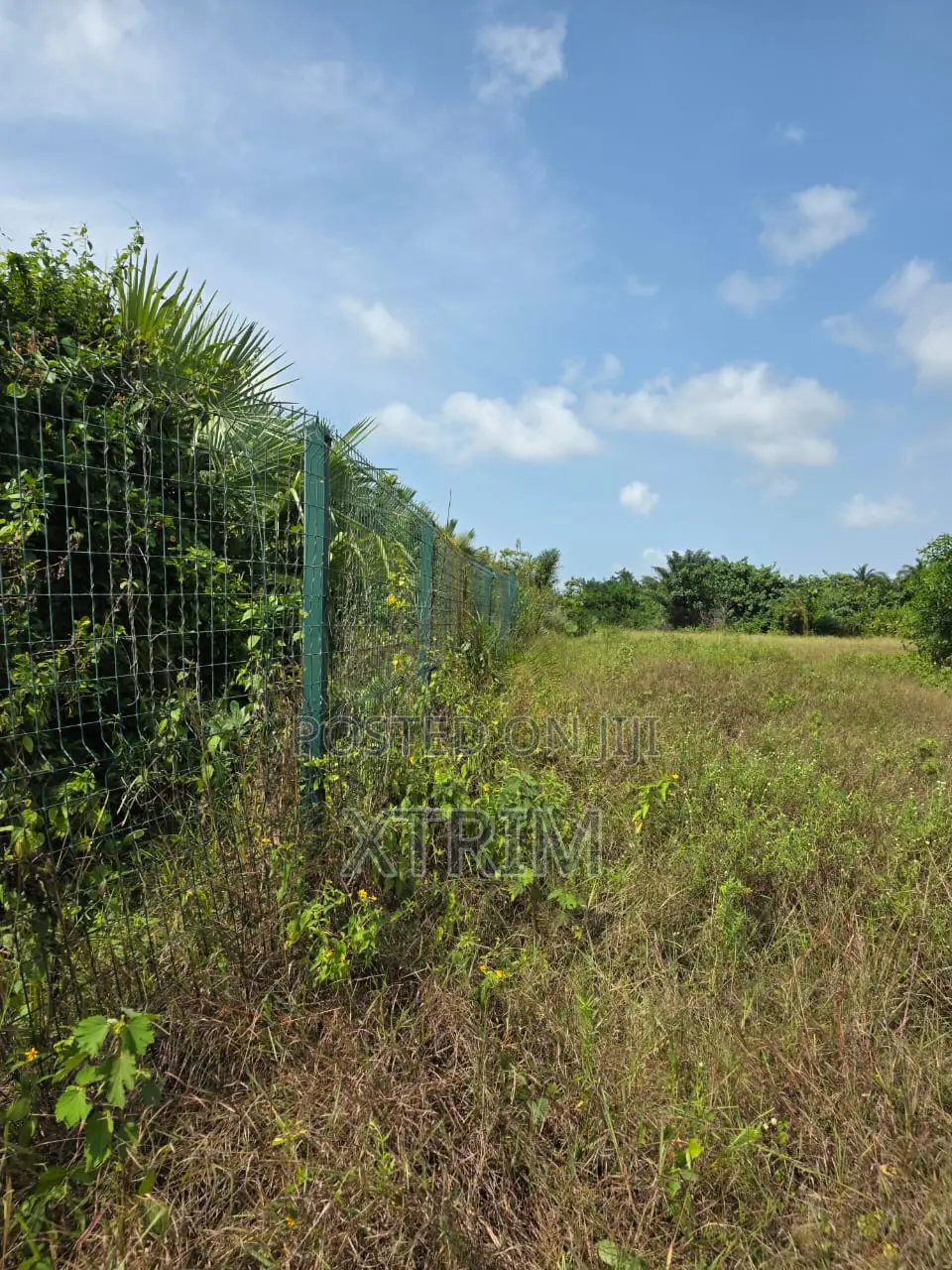 Prime Land for Sale – Badagry, Lagos!