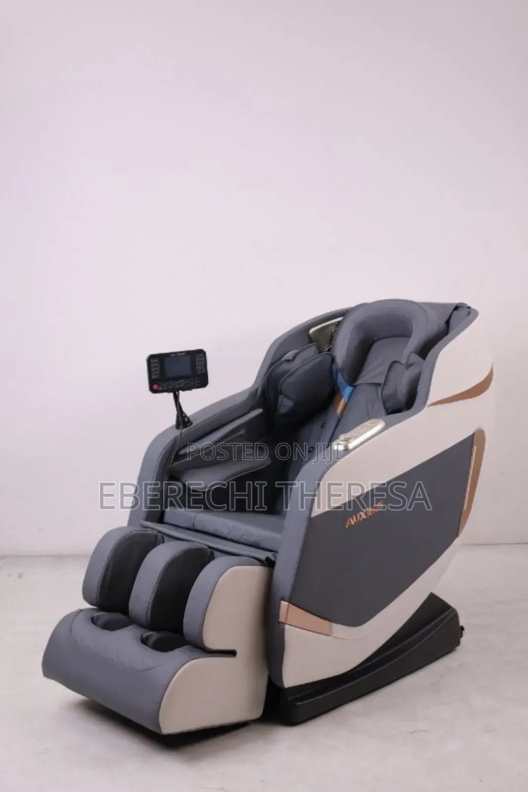 Massage Cushion