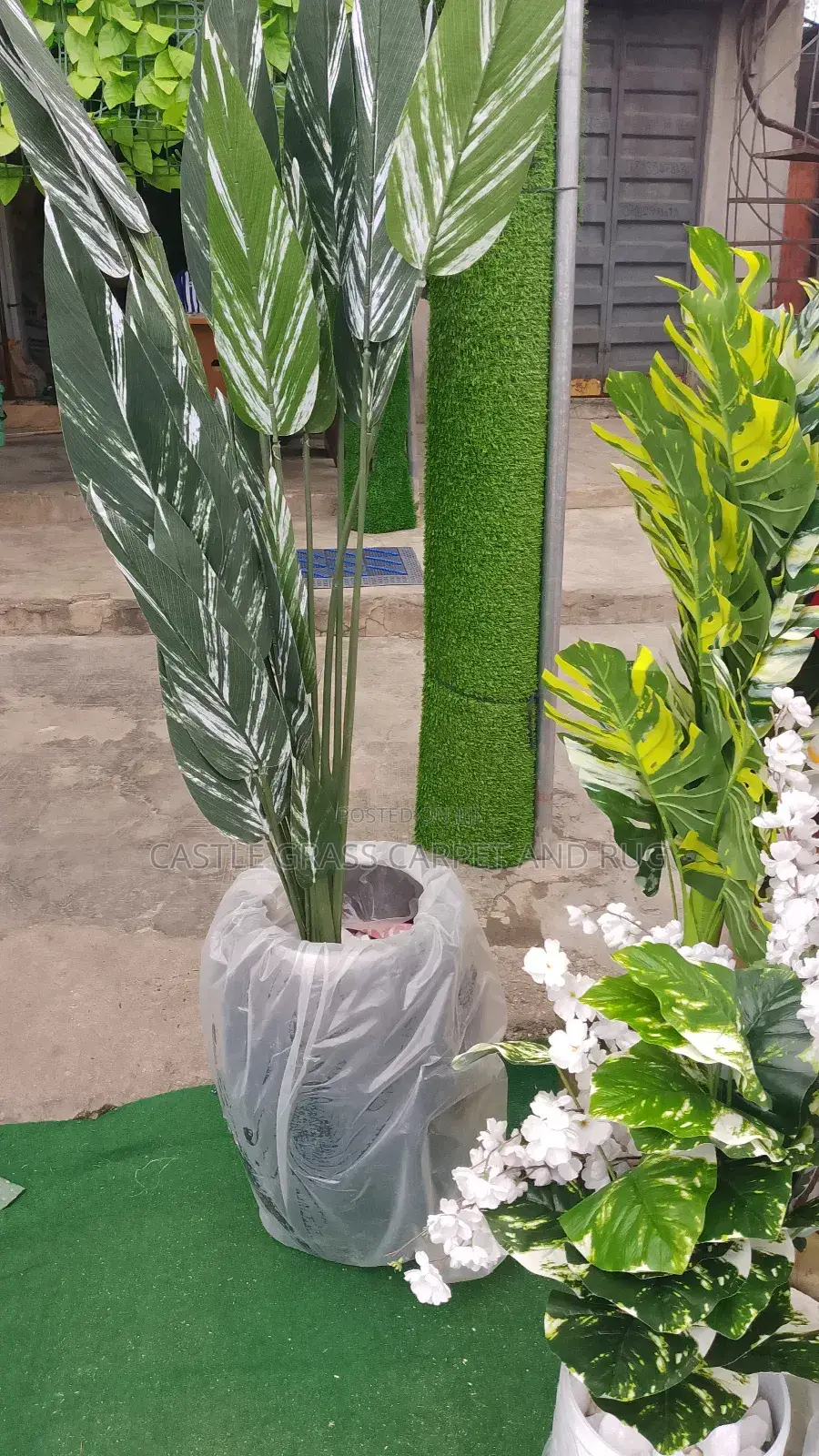 Interior Design Flower Varix