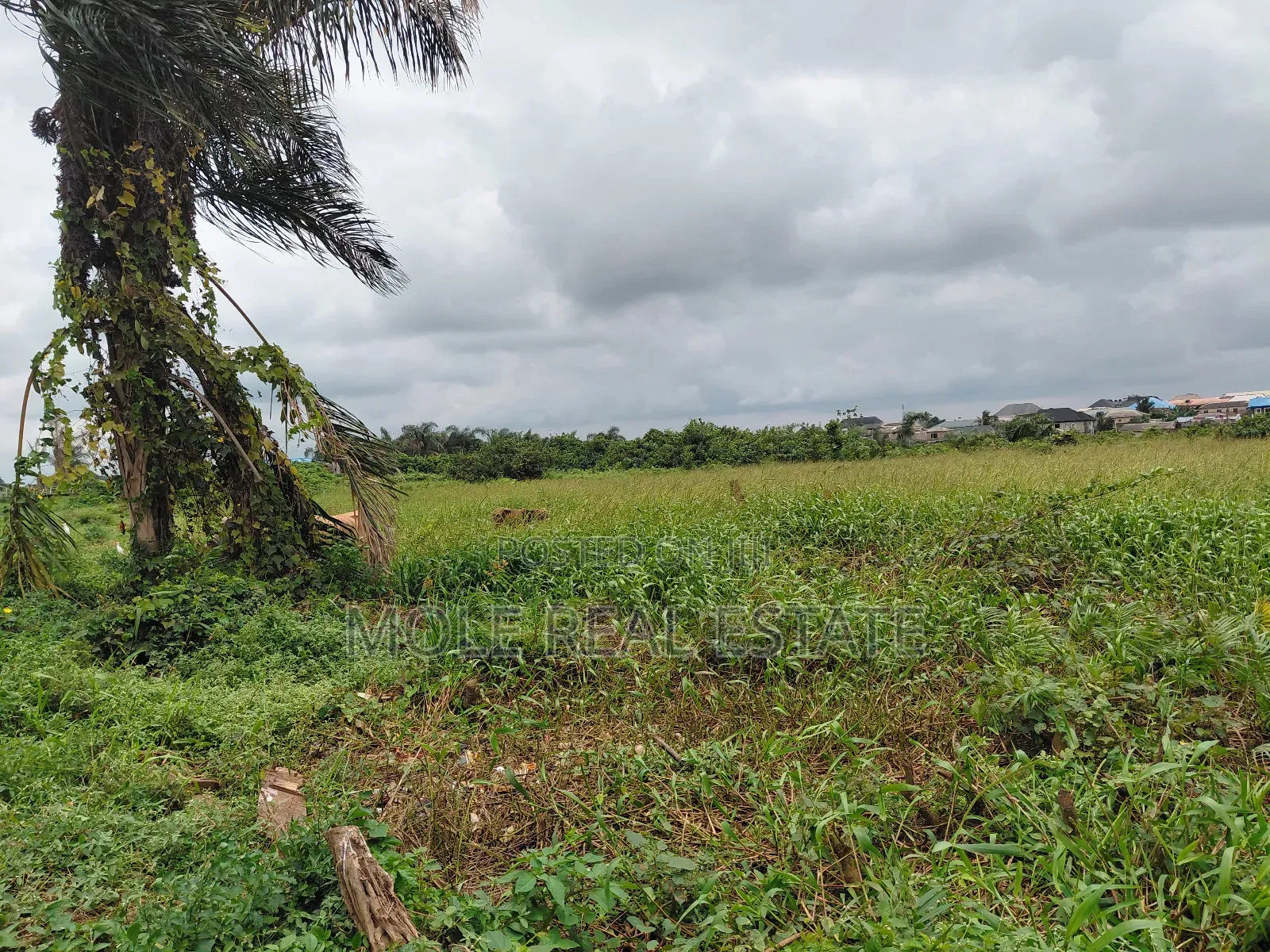 120ft / 240ft ( 4 Plots)Facing 2 Streets Baptist B/S Ijagemo New Rd