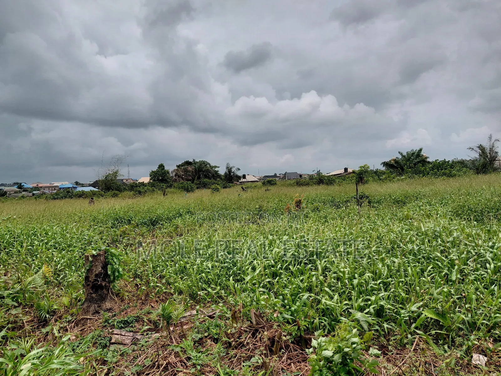 120ft / 240ft ( 4 Plots)Facing 2 Streets Baptist B/S Ijagemo New Rd